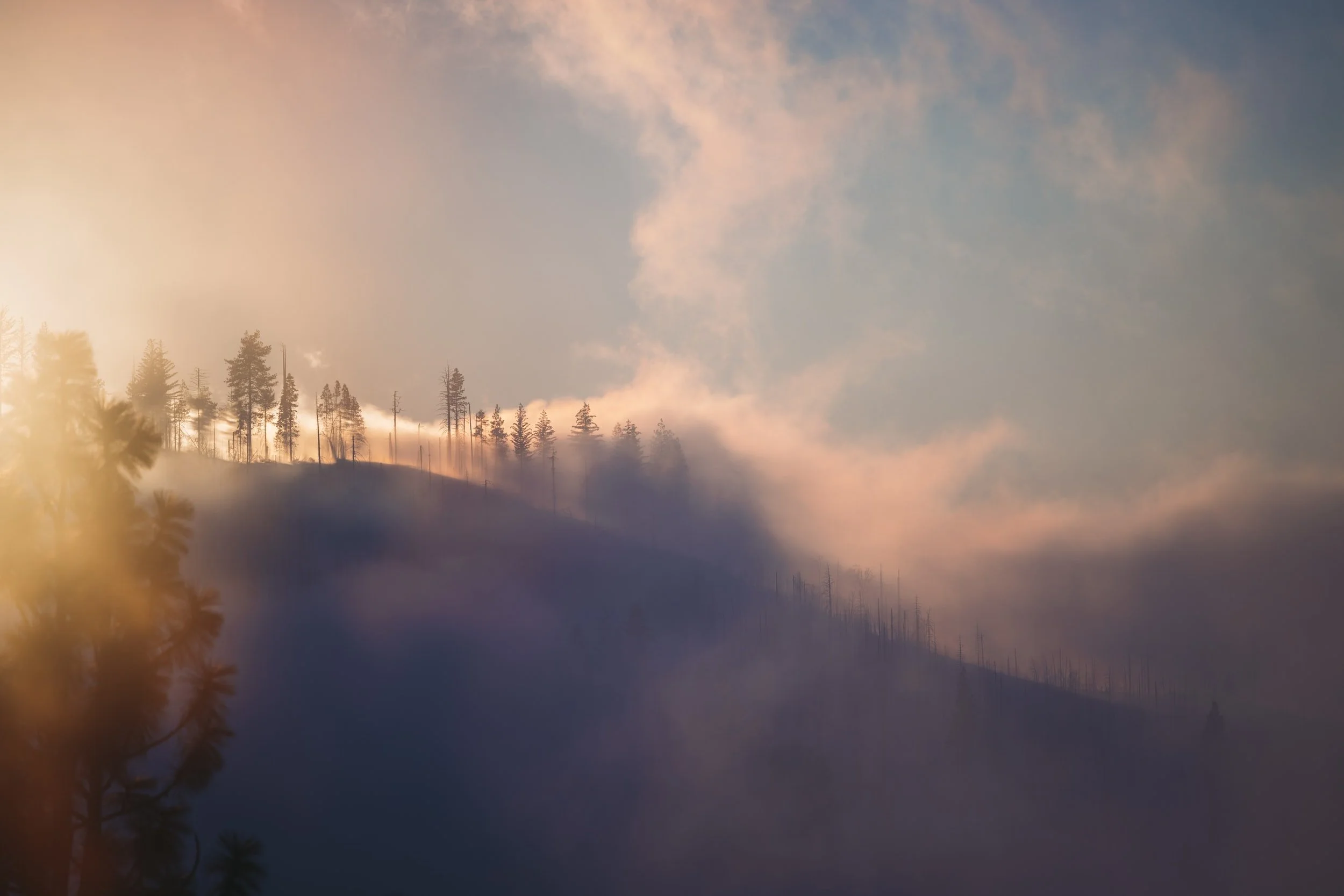 A smoky mountain landscape with trees on a hillside, illuminated by a warm sunset or sunrise, with clouds and mist creating a hazy atmosphere.