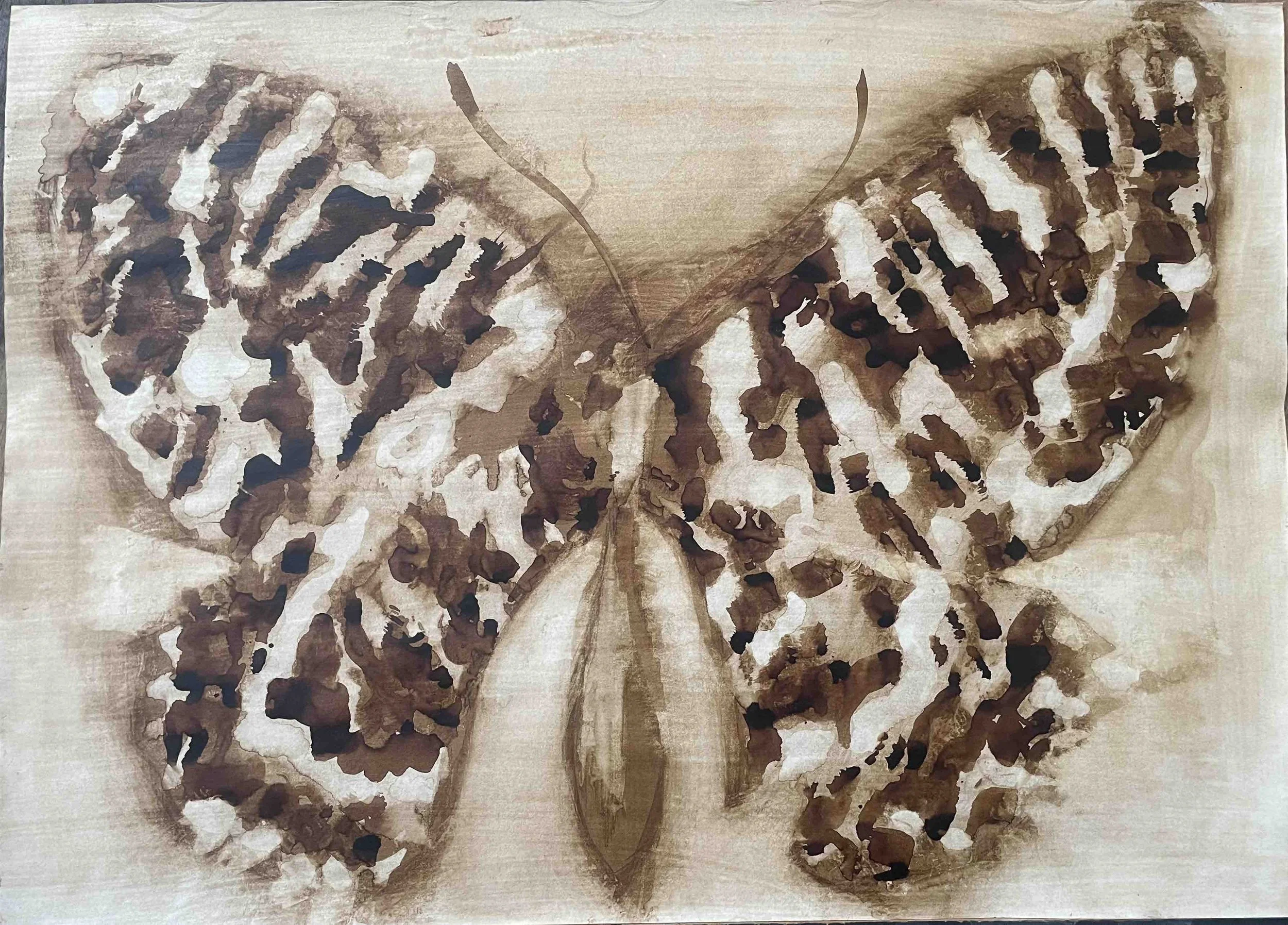 Papillon V -         19 
Didier Cros 2023
Lavis au brou de noix sur papier
70x50 cm
Prix  :                  480€