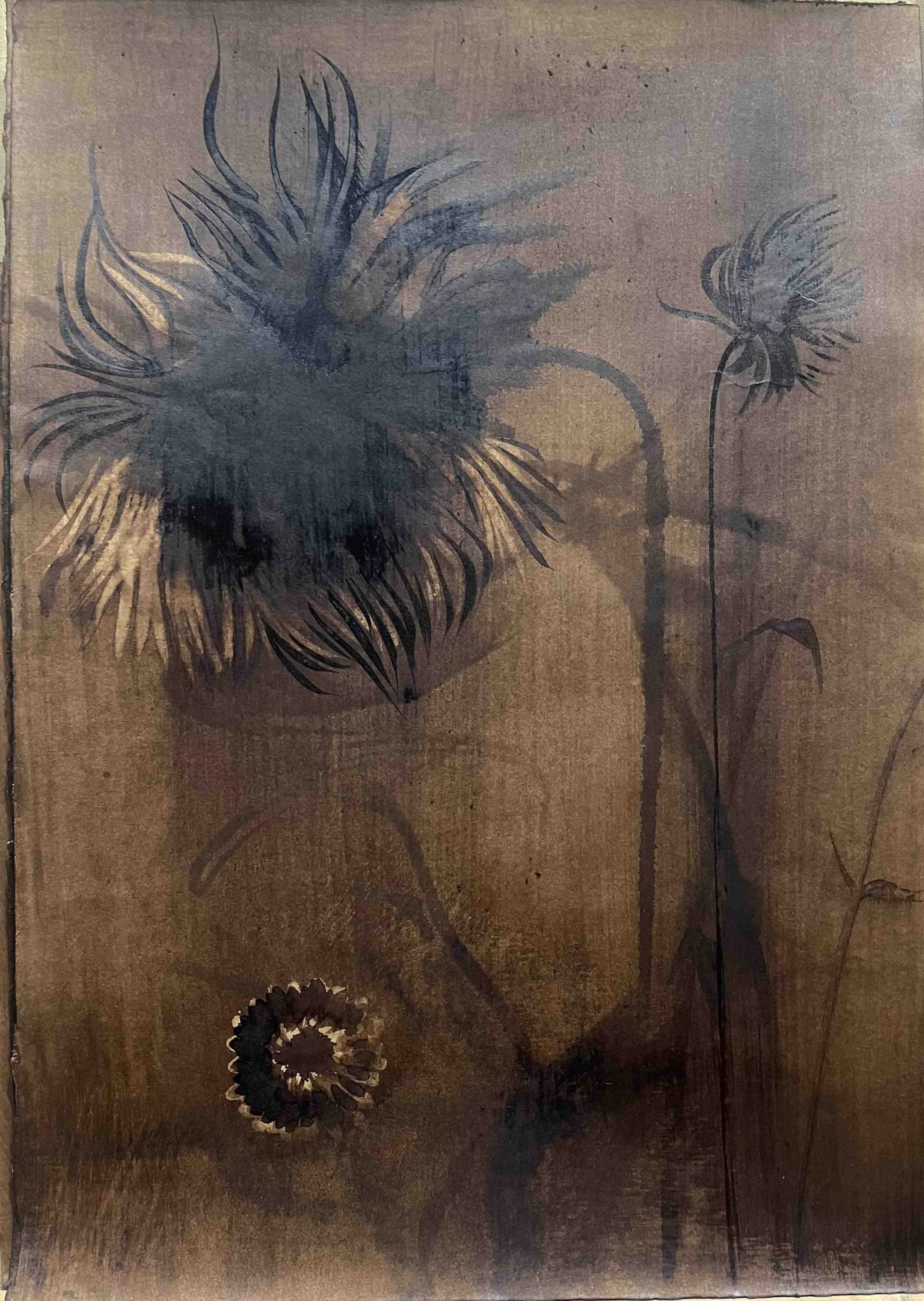 Dahlia. VI - 40 
Didier Cros 2023
Lavis à la brou de noix sur papier
35x46 cm
Prix : 450€