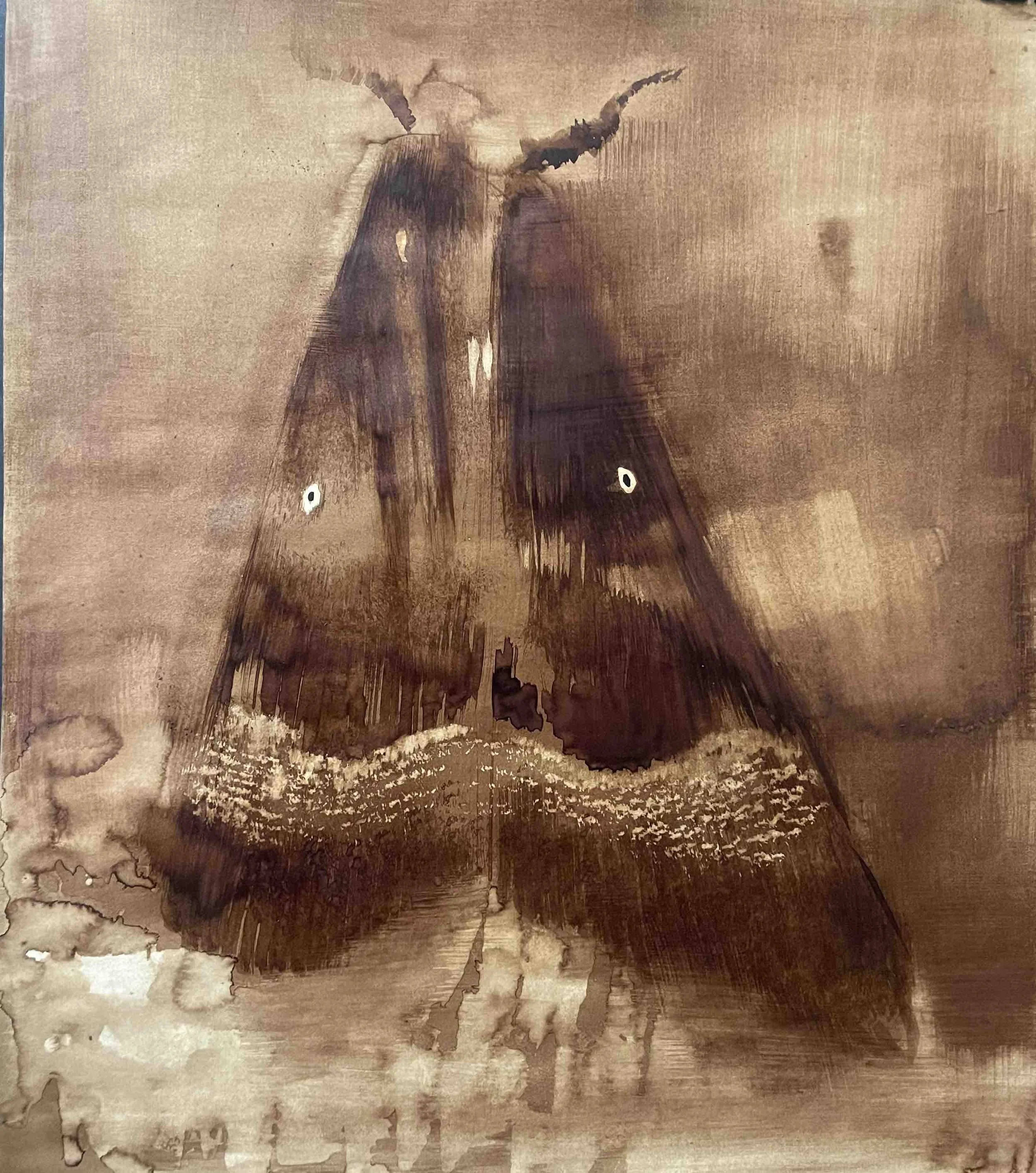 Papillon XI       -29
Didier Cros 2023
Lavis au brou de noix sur papier 
65x75 cm
Prix                   : 500€