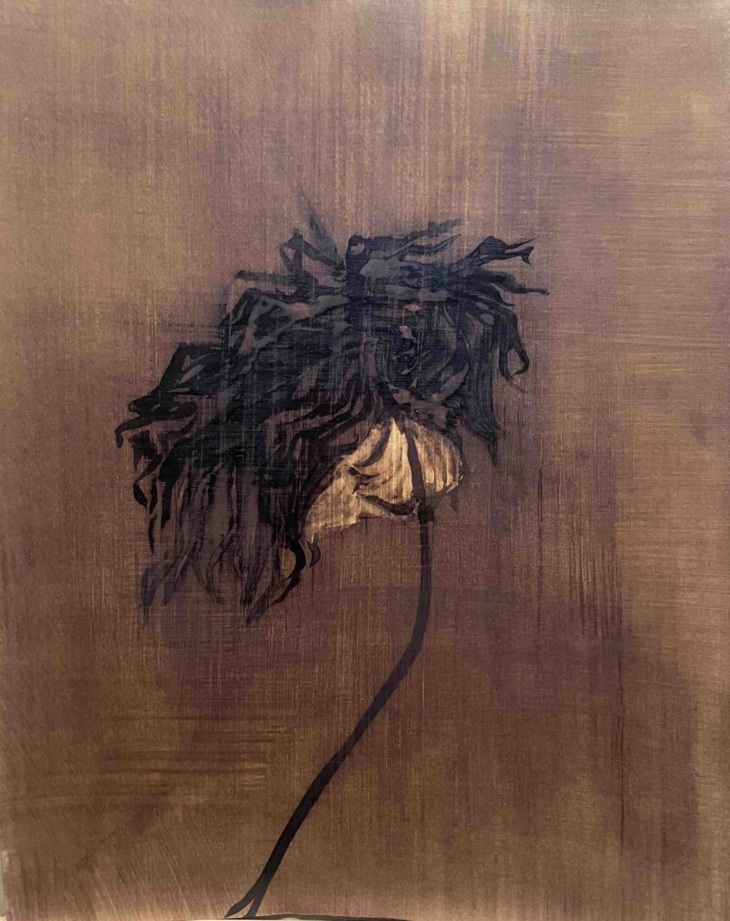 Dahlia. IV -      38 
Didier Cros 2023
Lavis à la brou de noix sur papier
35x46 cm
Prix               : 450€