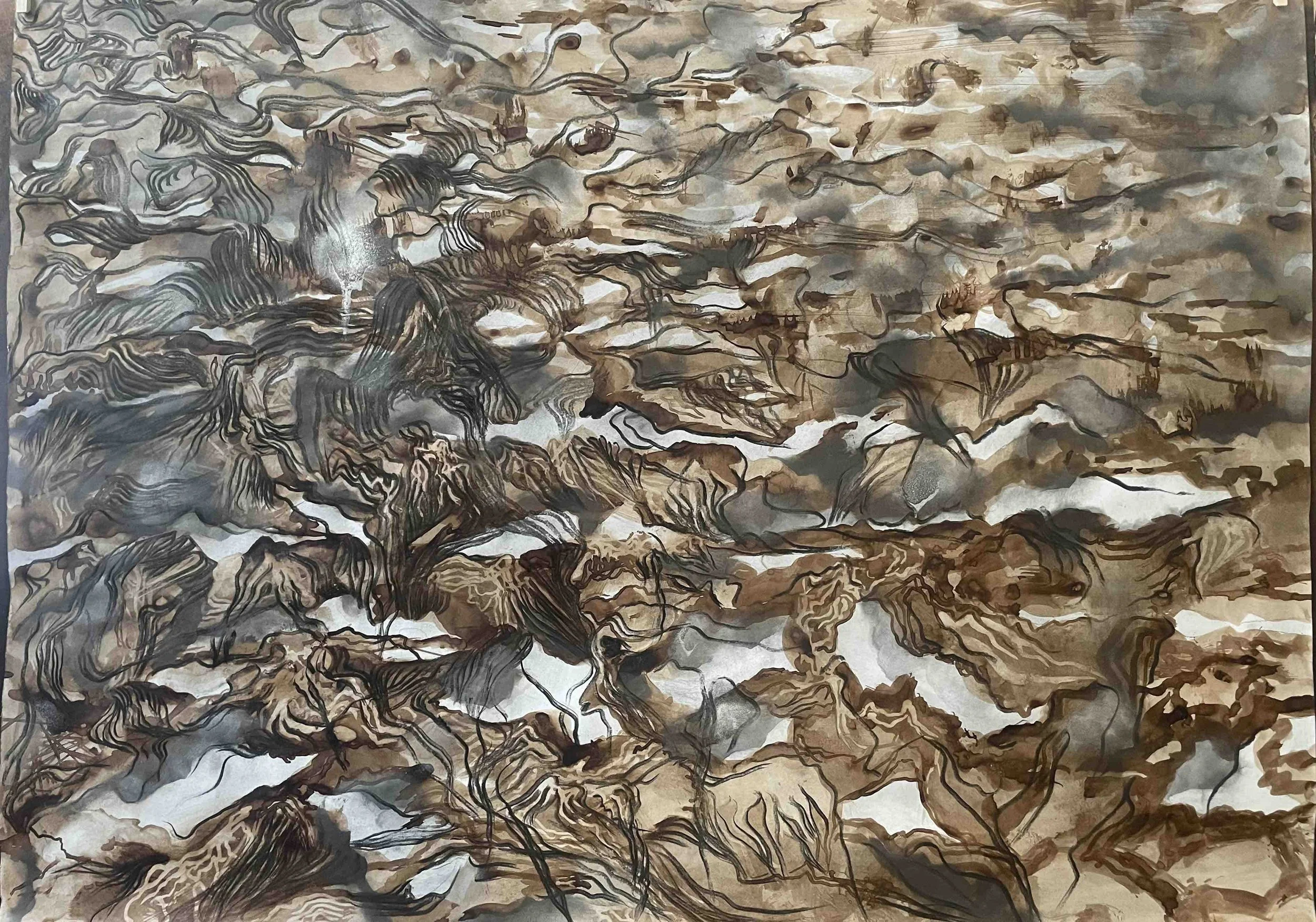 Sagne (hiver II) -                      8 
Didier Cros 2023 
Lavis au brou de noix  sur papier
118x85 cm
Prix de vente  : 1200€