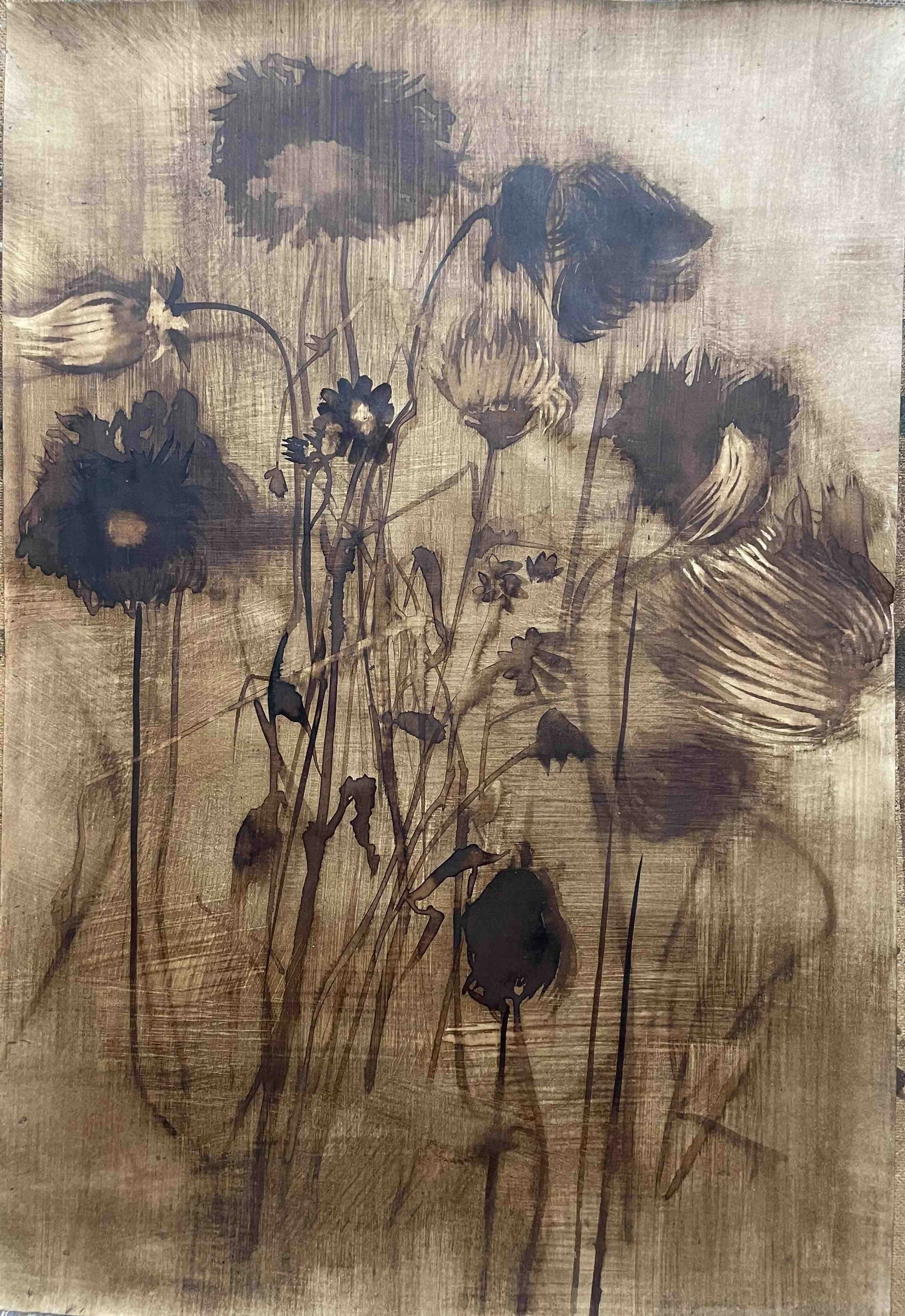 Dahlia. XX - 53
Didier Cros 2023
Lavis à la brou de noix sur papier
46x67,5 cm
Prix  500€