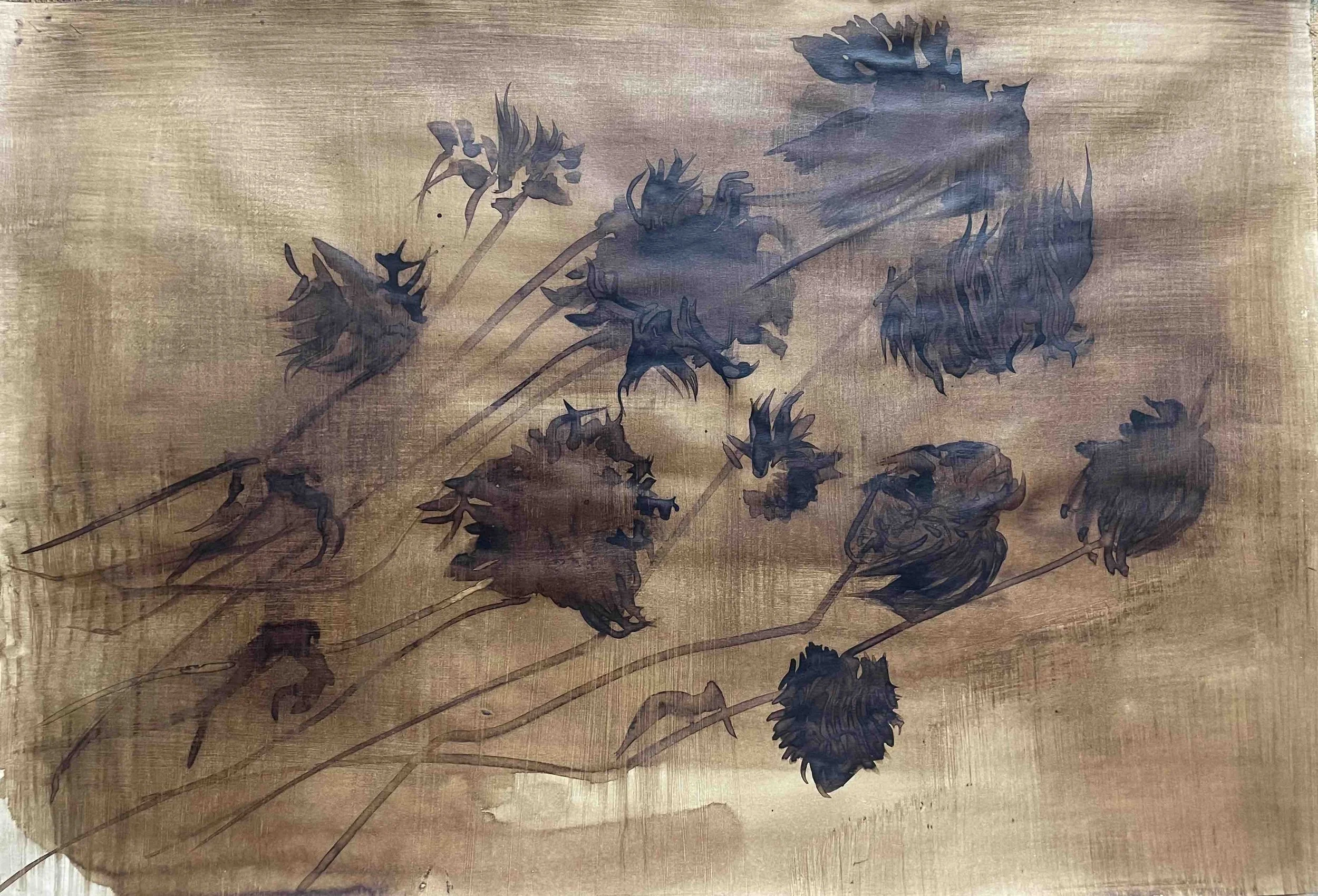 Dahlia. XII -          46
Didier Cros 2023
Lavis à la brou de noix sur papier
35x46 cm
Prix                     : 500€