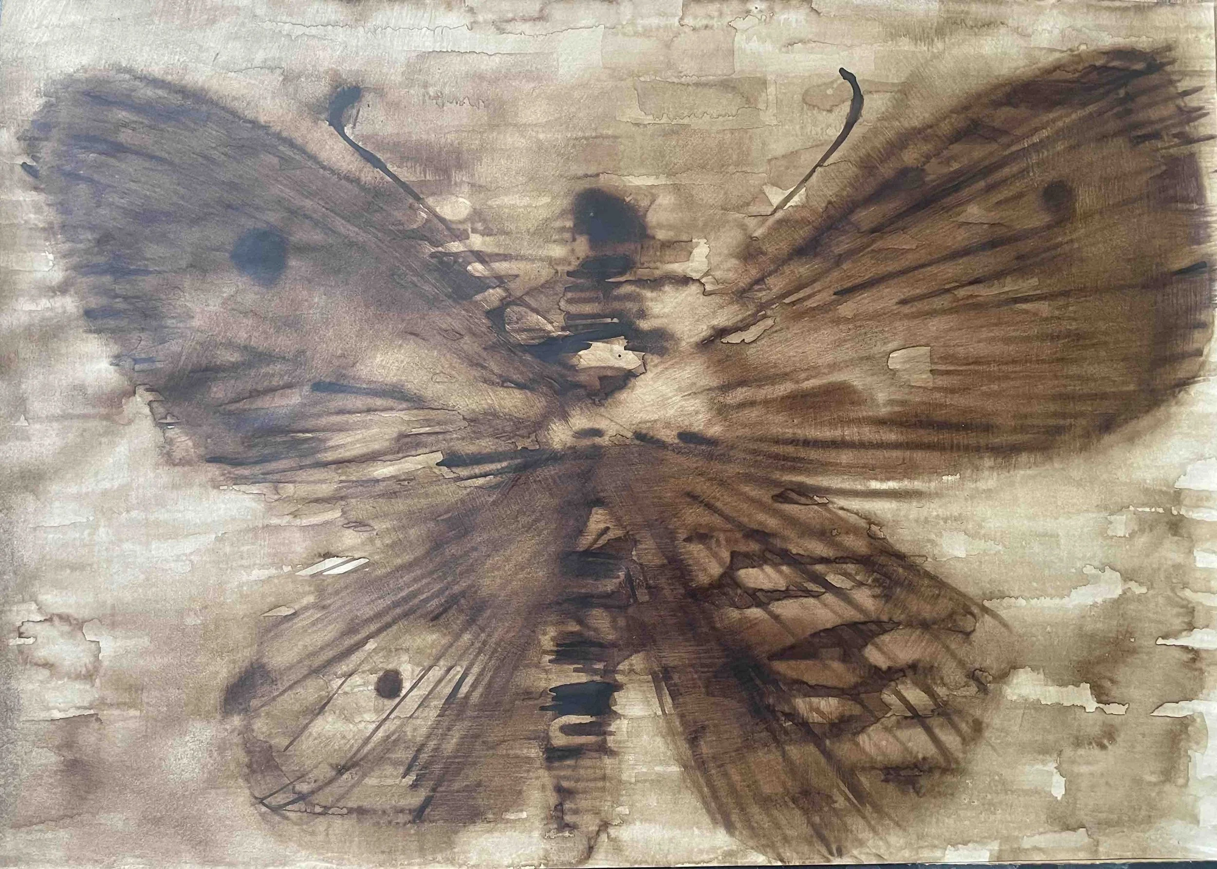 Papillon III                 -17 
Didier Cros 2023
Lavis au brou de noix sur papier
70x50 cm
Prix  :                        480€