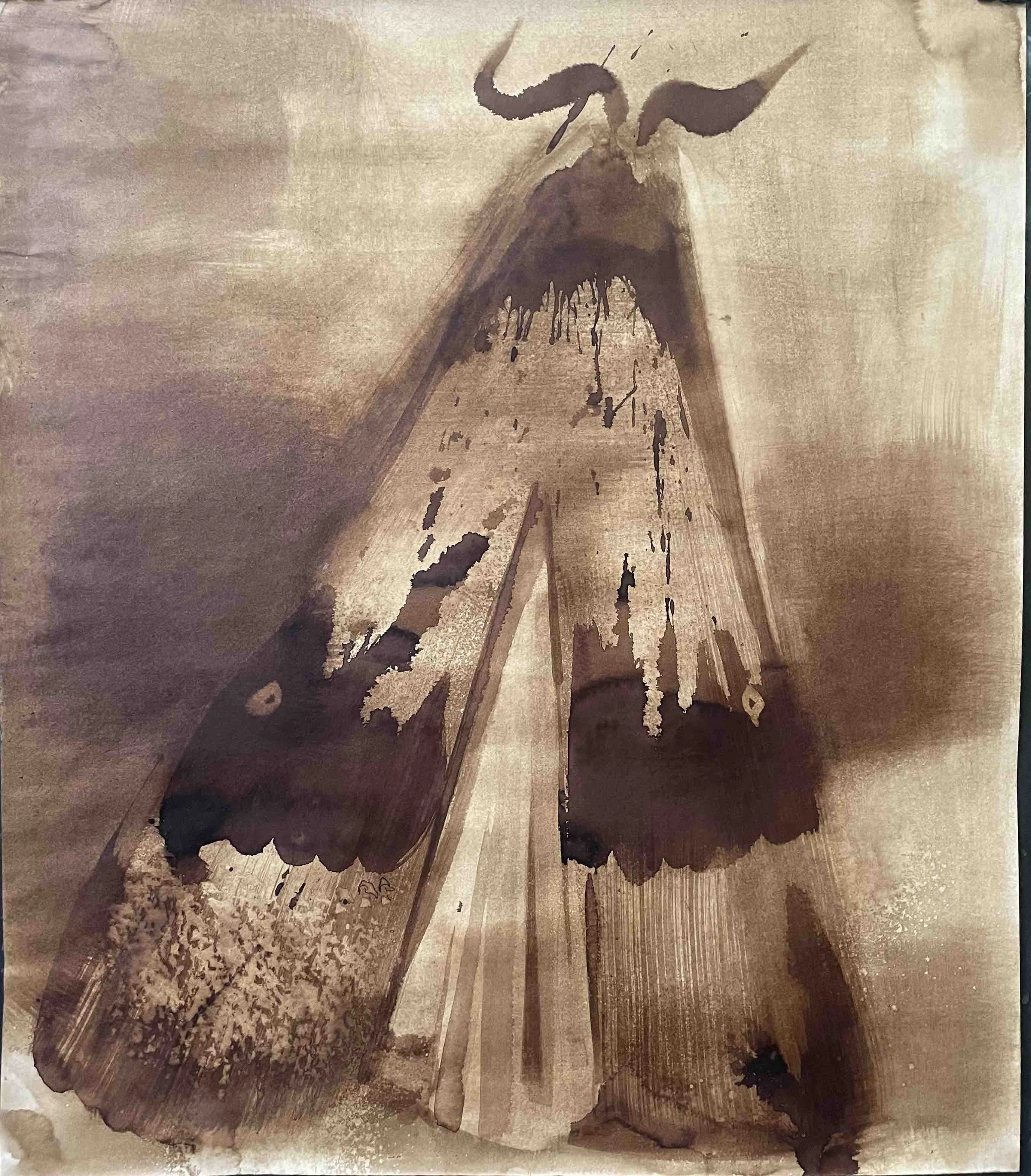 Papillon XIV -         32
Didier Cros 2023
Lavis à la brou de noix sur papier 
65x75 cm
Prix                       : 500€