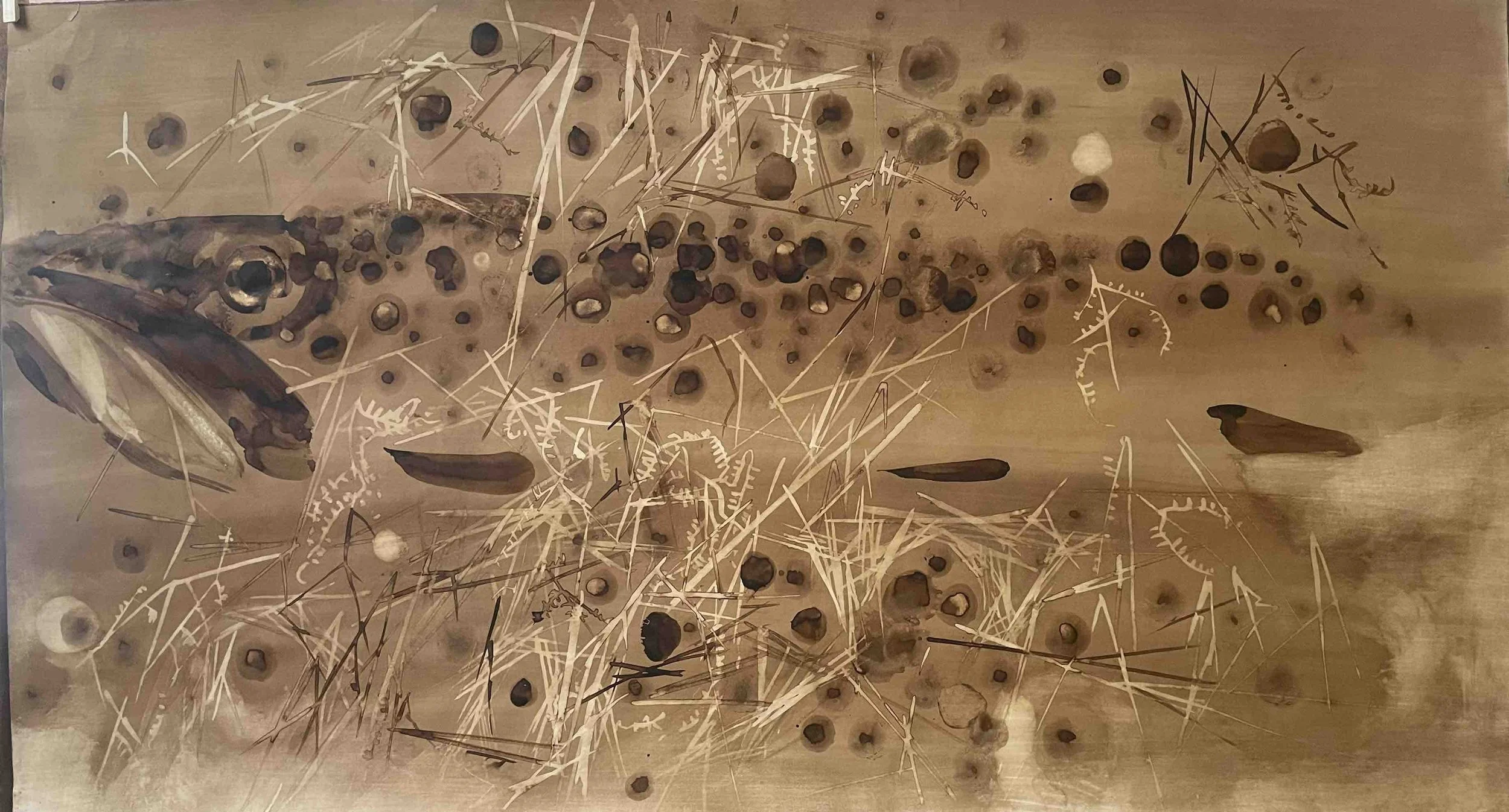 Truite                                      - 10-
Didier Cros 2023 
Lavis au brou de noix sur papier
65 x 118 cm
Prix de vente  : 900€