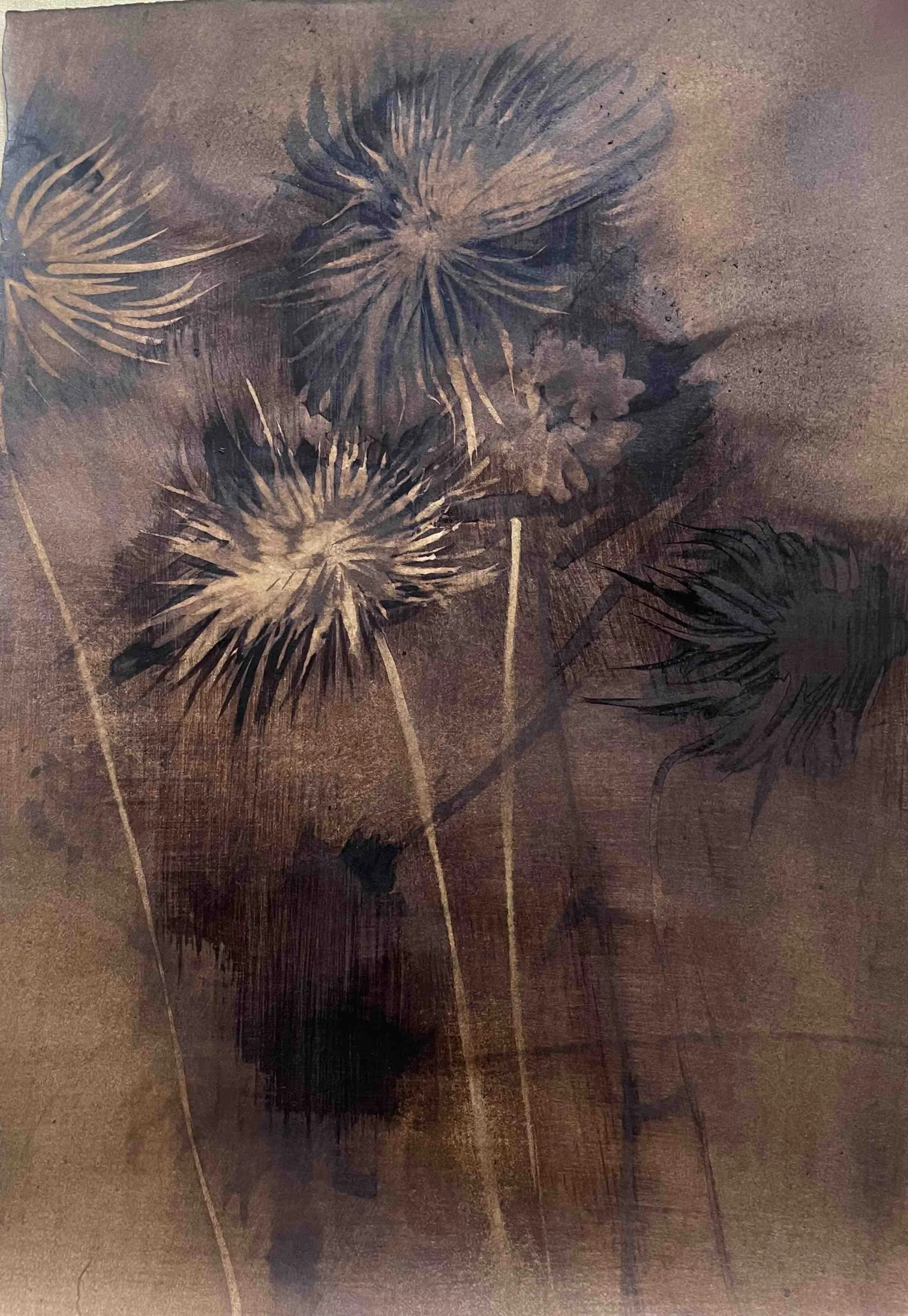 Dahlia. III        - 37
Didier Cros 2023
Lavis à la brou de noix sur papier
35x46 cm
Prix                 : 450€