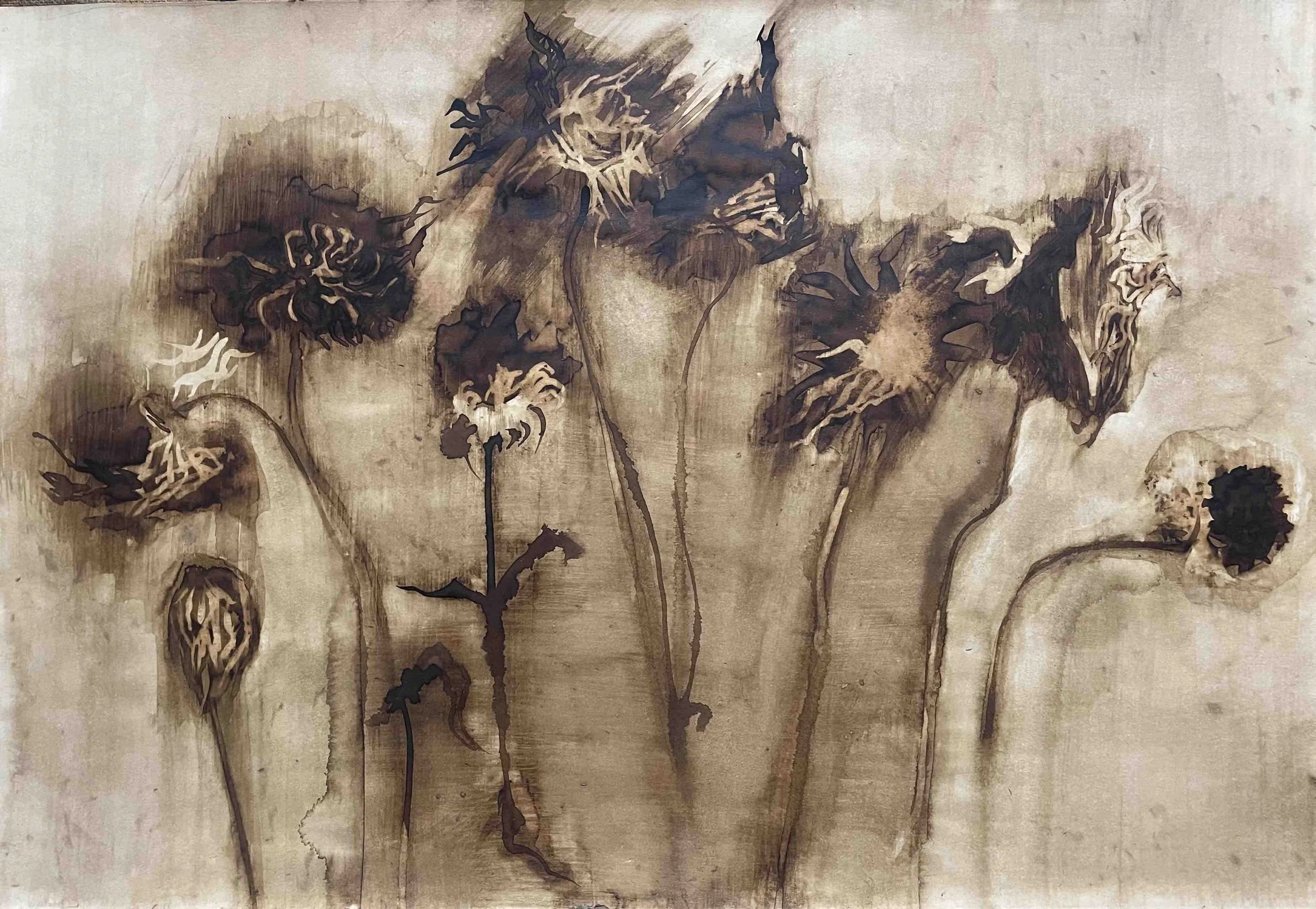 Dahlia. XIX                     - 52
Didier Cros 2023
Lavis à la brou de noix sur papier
67,5x46 cm 
Prix                                  : 500€