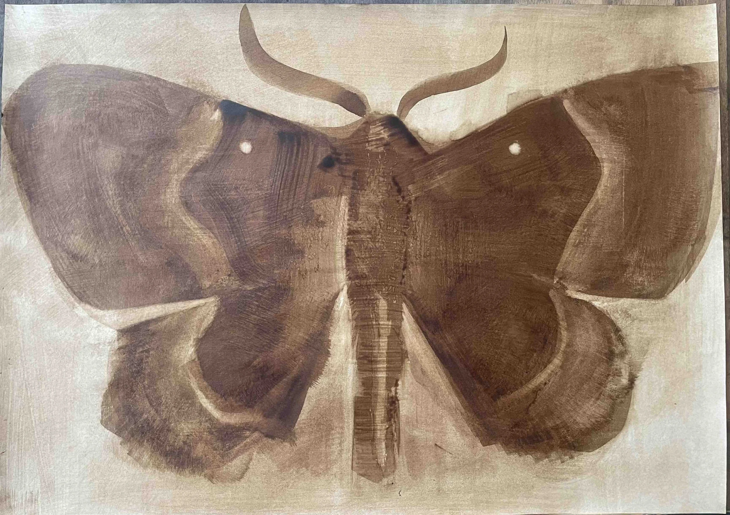 Papillon IX -23
Didier Cros 2023
Lavis au brou de noix sur papier 70x50 cm
Prix de vente : 480€