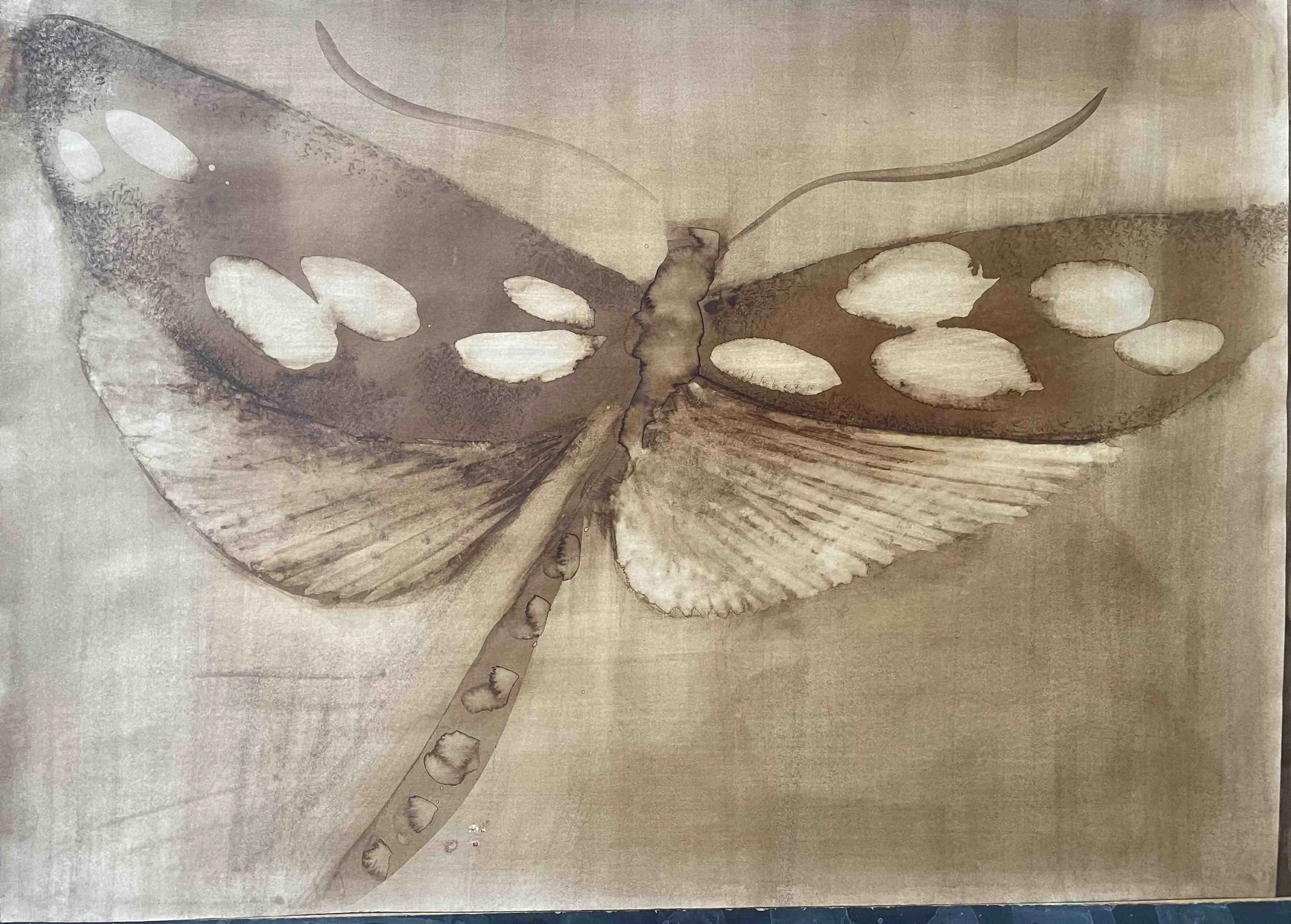 Papillon I                 -15 
Didier Cros 2023
Lavis au brou de noix sur papier
70x50 cm
Prix                            : 480€