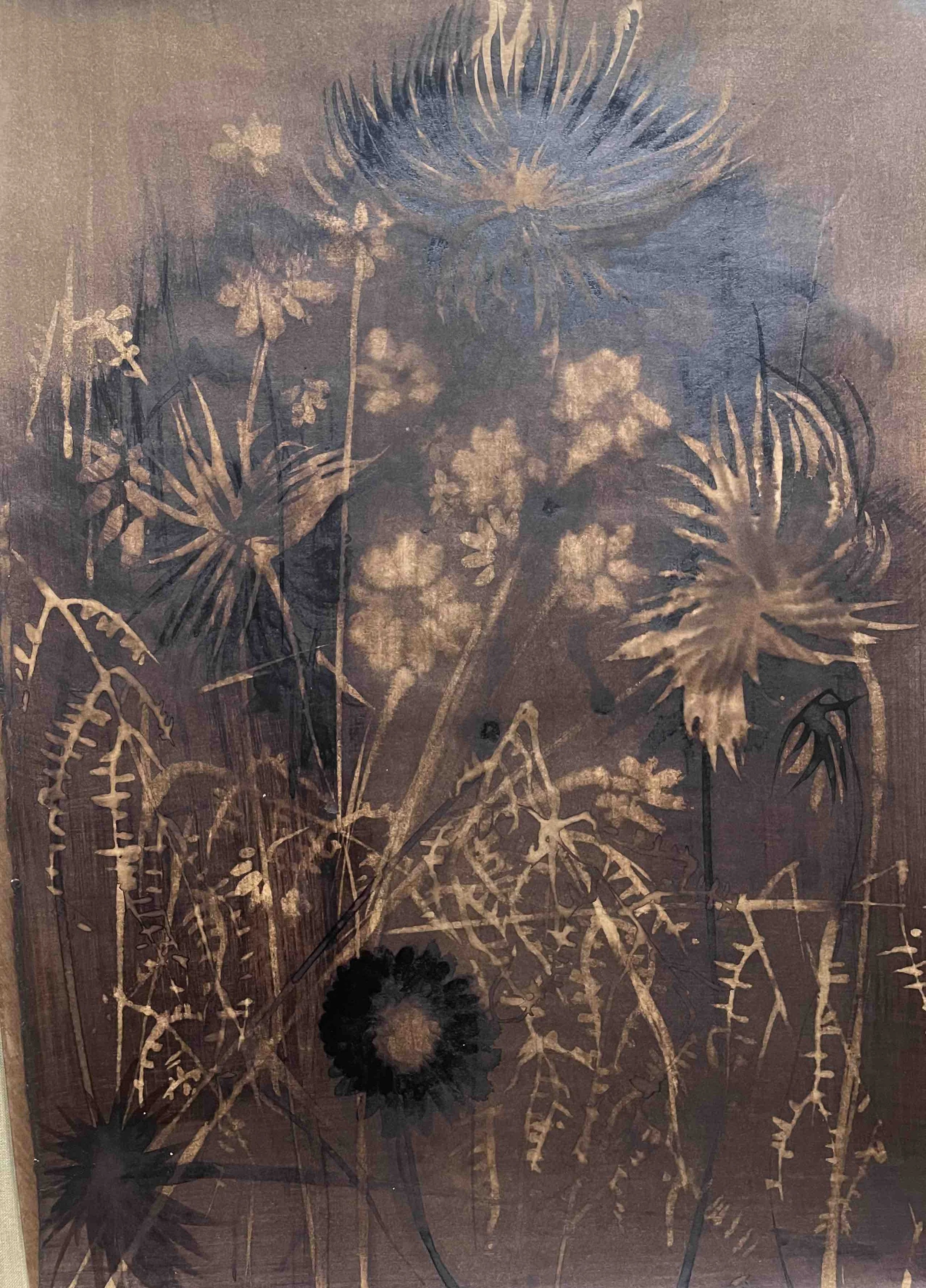 Dahlia. V                -39
Didier Cros 2023
Lavis à la brou de noix sur papier
35x46 cm
Prix                       : 450€