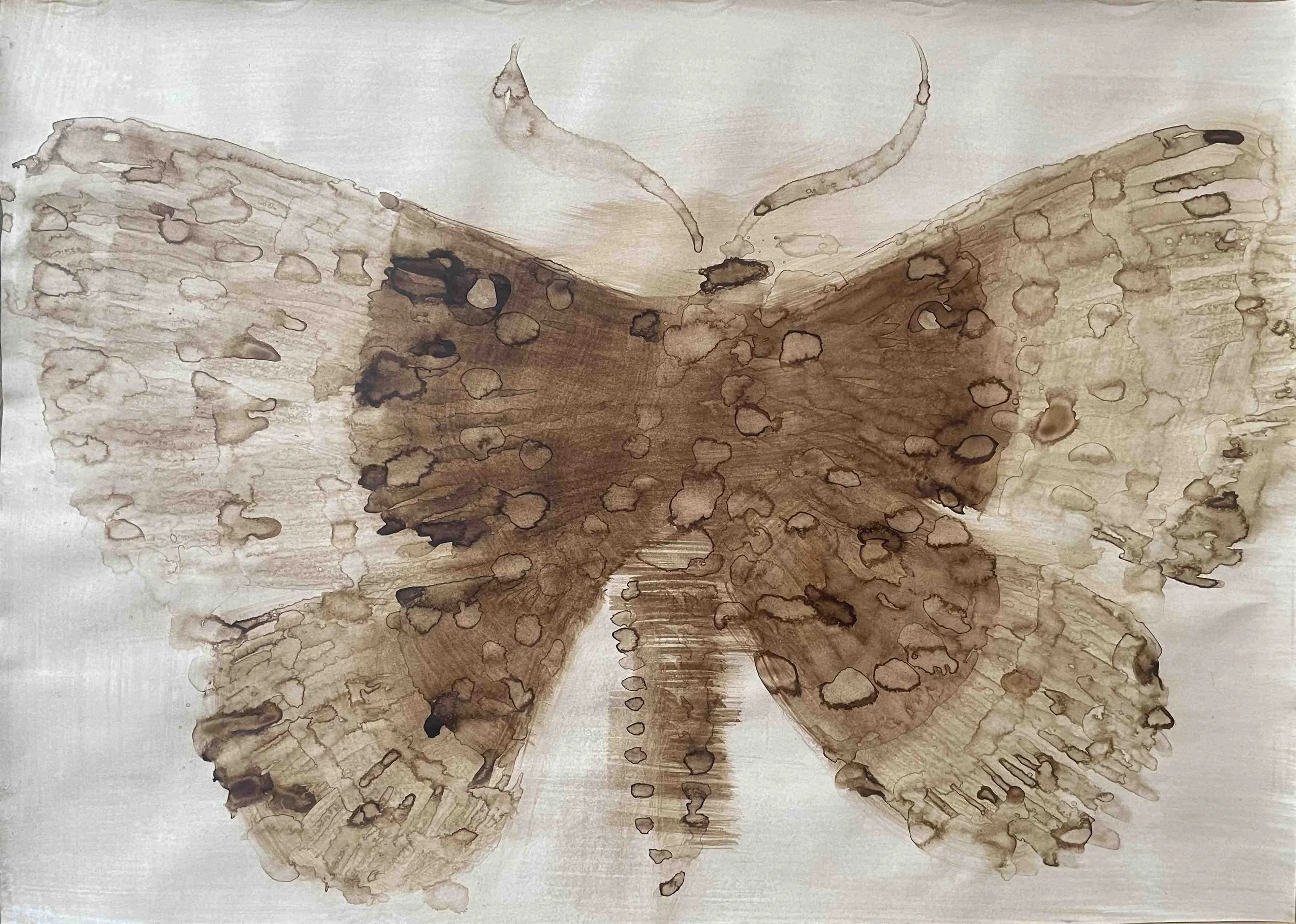 Papillon II         -16 
Didier Cros 2023
Lavis au brou de noix sur papier
70x50 cm
Prix                   : 480€