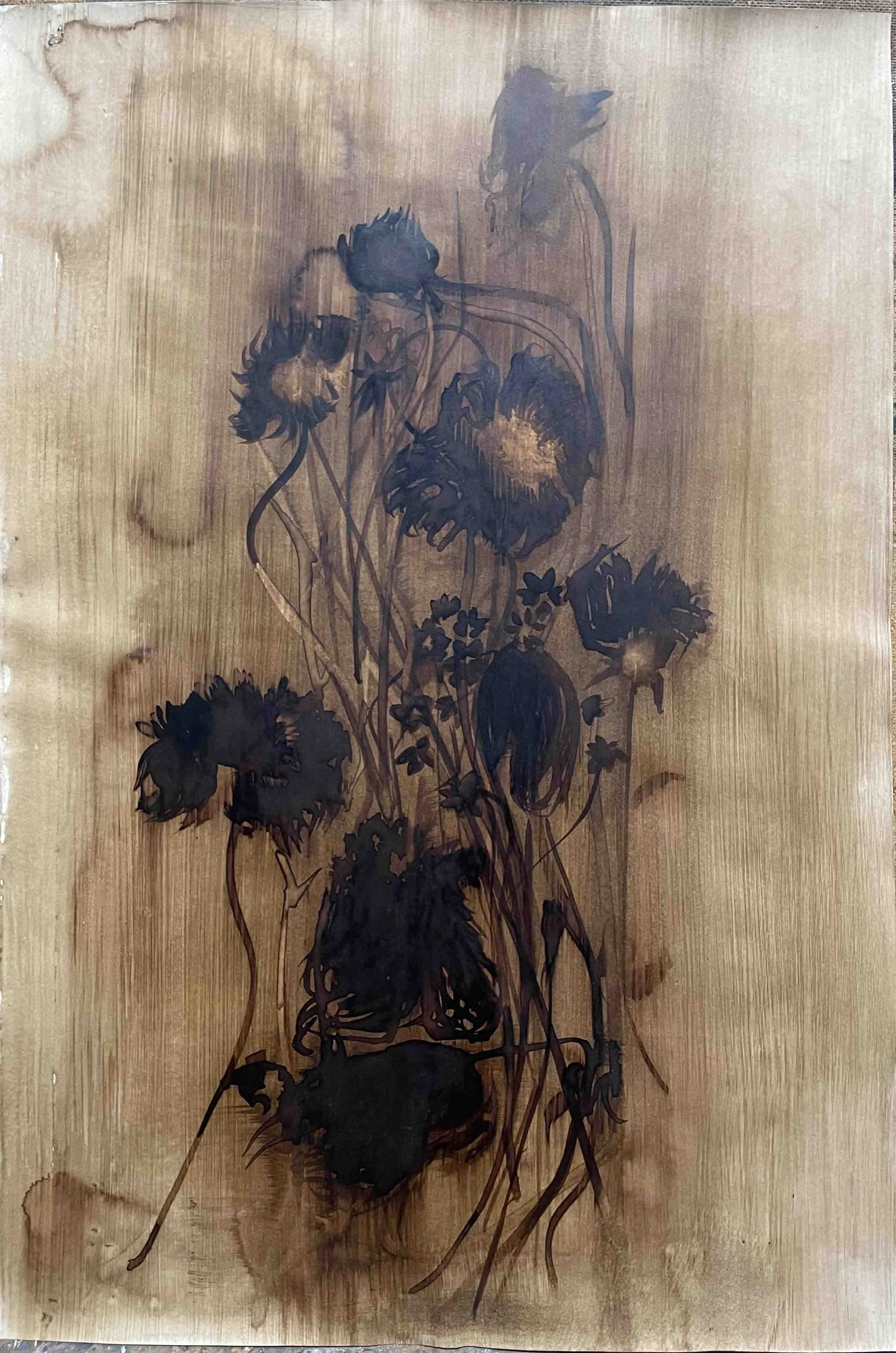 Dahlia. XVI           - 49 
Didier Cros 2023
Lavis à la brou de noix sur papier
35x46 cm
Prix                        : 500€