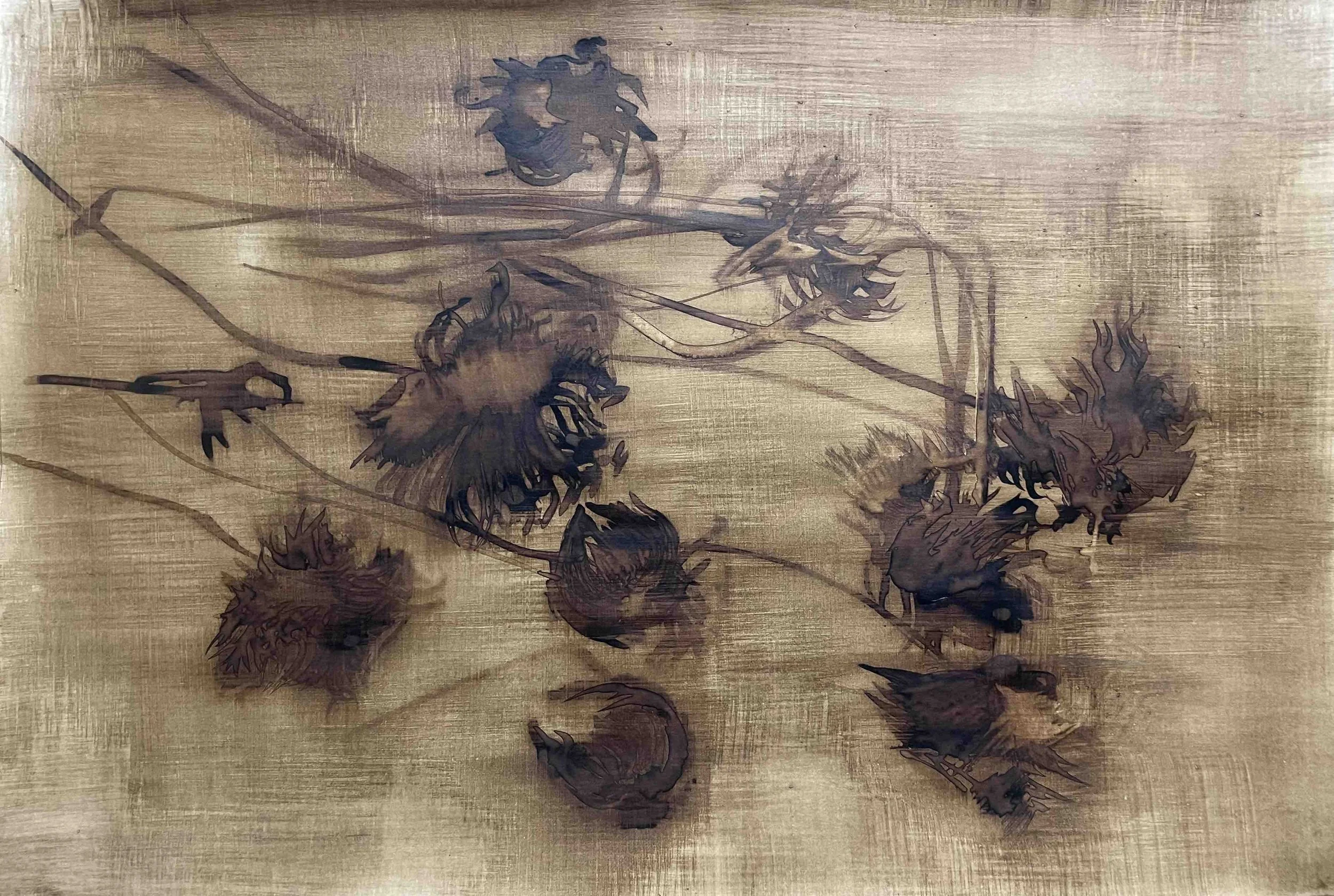 Dahlia. XIII             - 47
Didier Cros 2023
Lavis à la brou de noix sur papier
35x46 cm
Prix                         : 500€