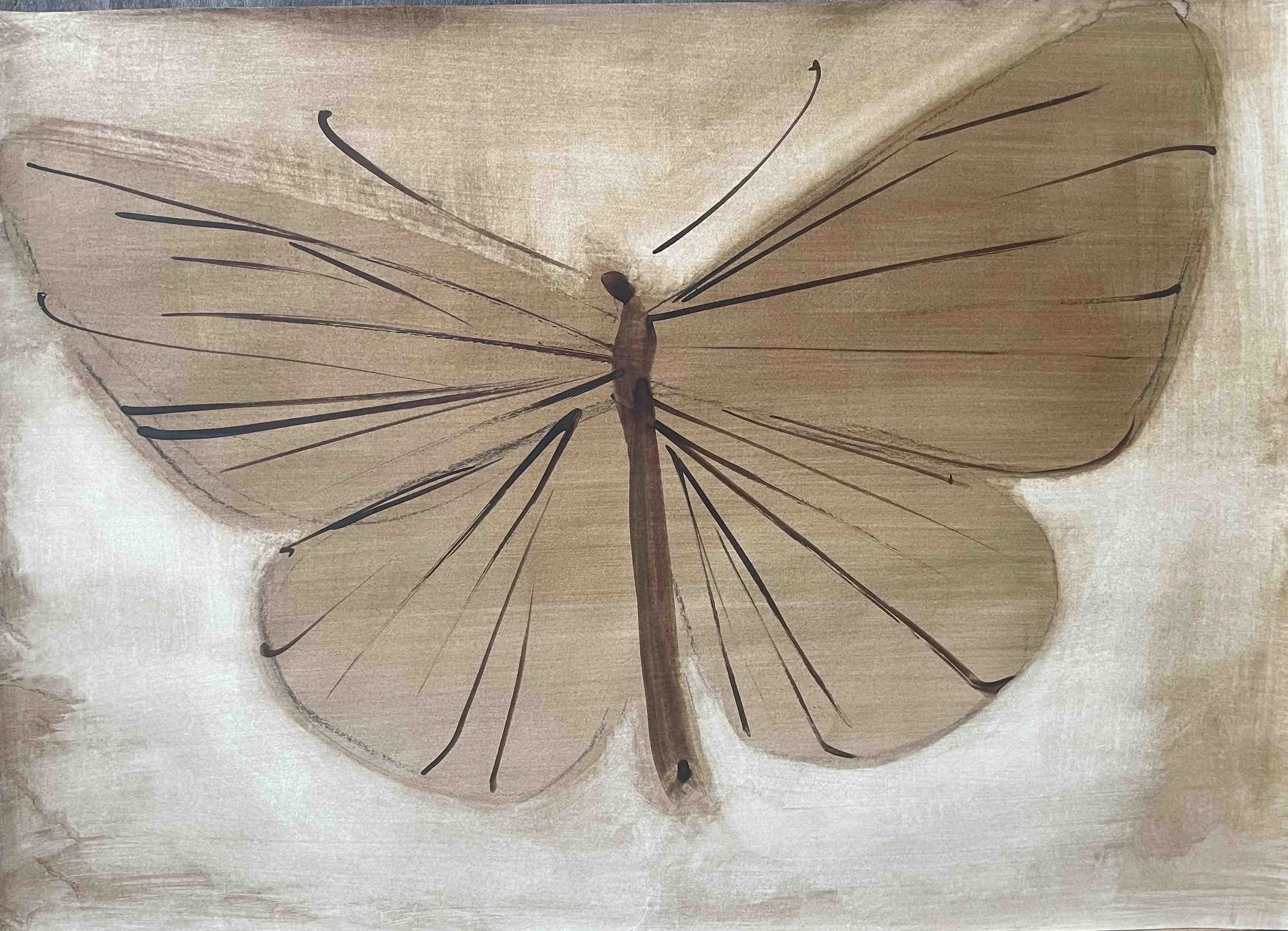 Papillon X              -24
Didier Cros 2023
Lavis au brou de noix sur papier 
70x50 cm
Prix :                          480€