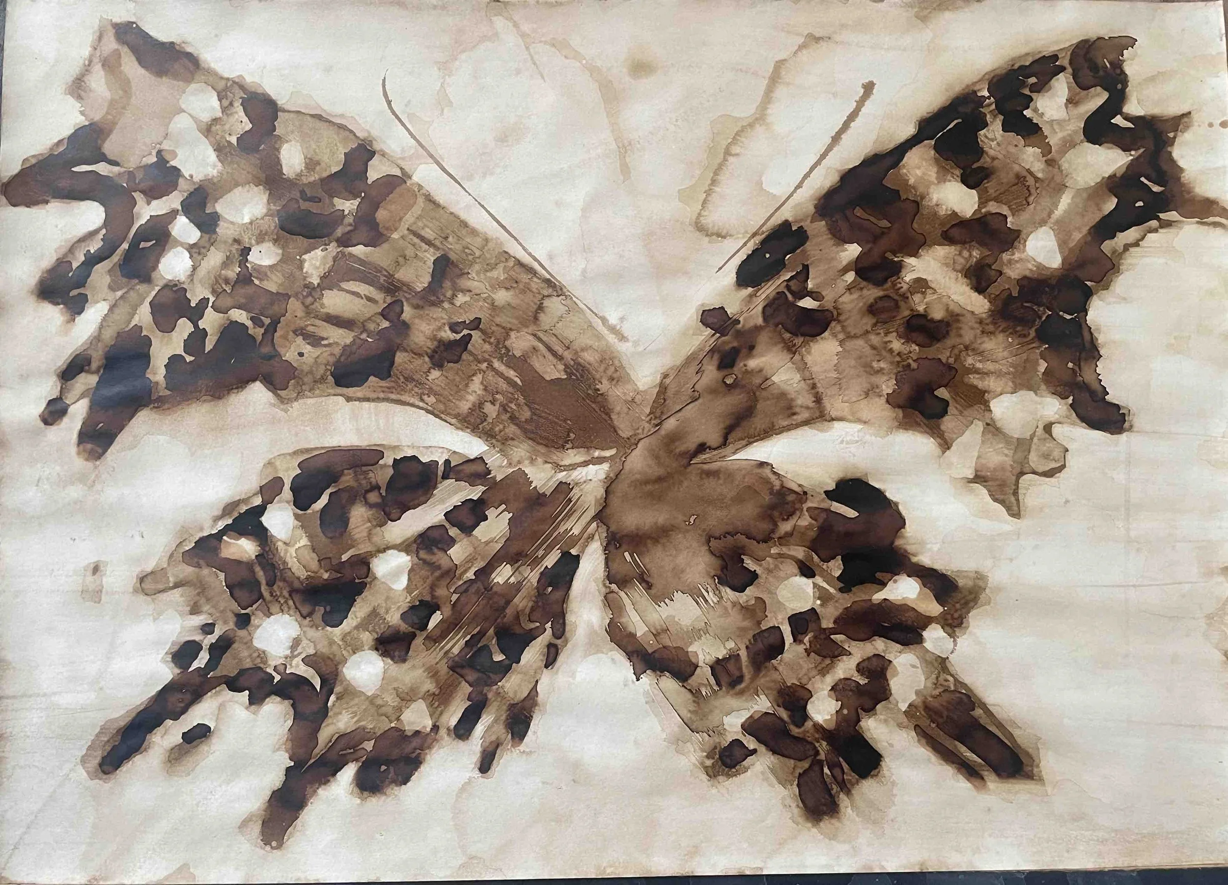 Papillon VI       -20 
Didier Cros 2023
Lavis au brou de noix sur papier
70x50 cm
Prix                      : 480€