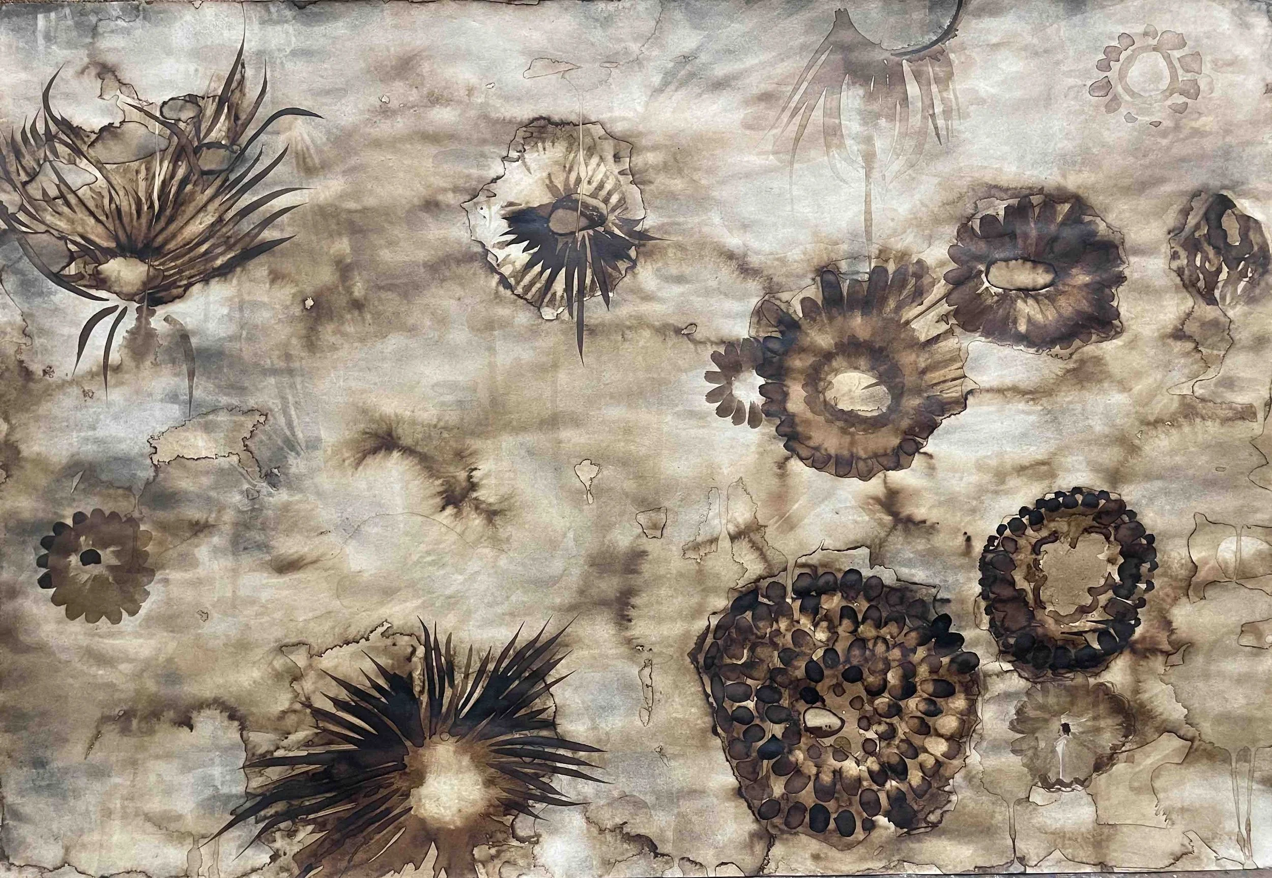 Dahlia. XVII -               5O 
Didier Cros 2023
Lavis à la brou de noix sur papier
67,5x46 cm 
Prix                               : 500€