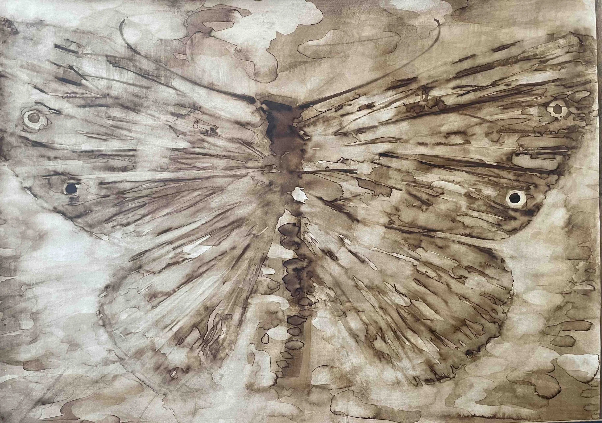 Papillon IV       -18
Didier Cros 2023
Lavis au brou de noix sur papier 
70x50 cm
Prix                      480€