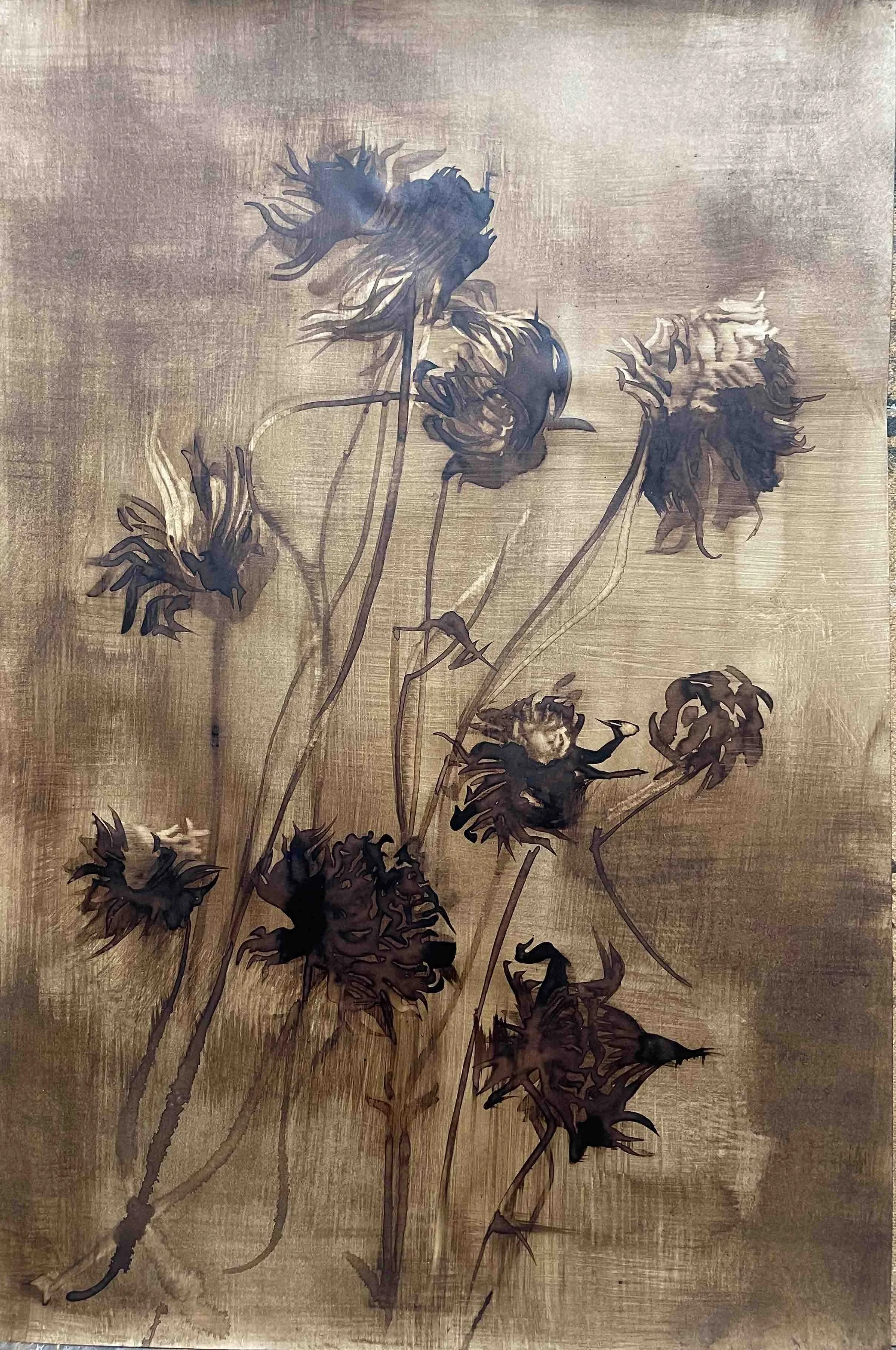 Dahlia. XIV -      48 
Didier Cros 2023
Lavis à la brou de noix sur papier
35x46 cm
Prix                    : 500€