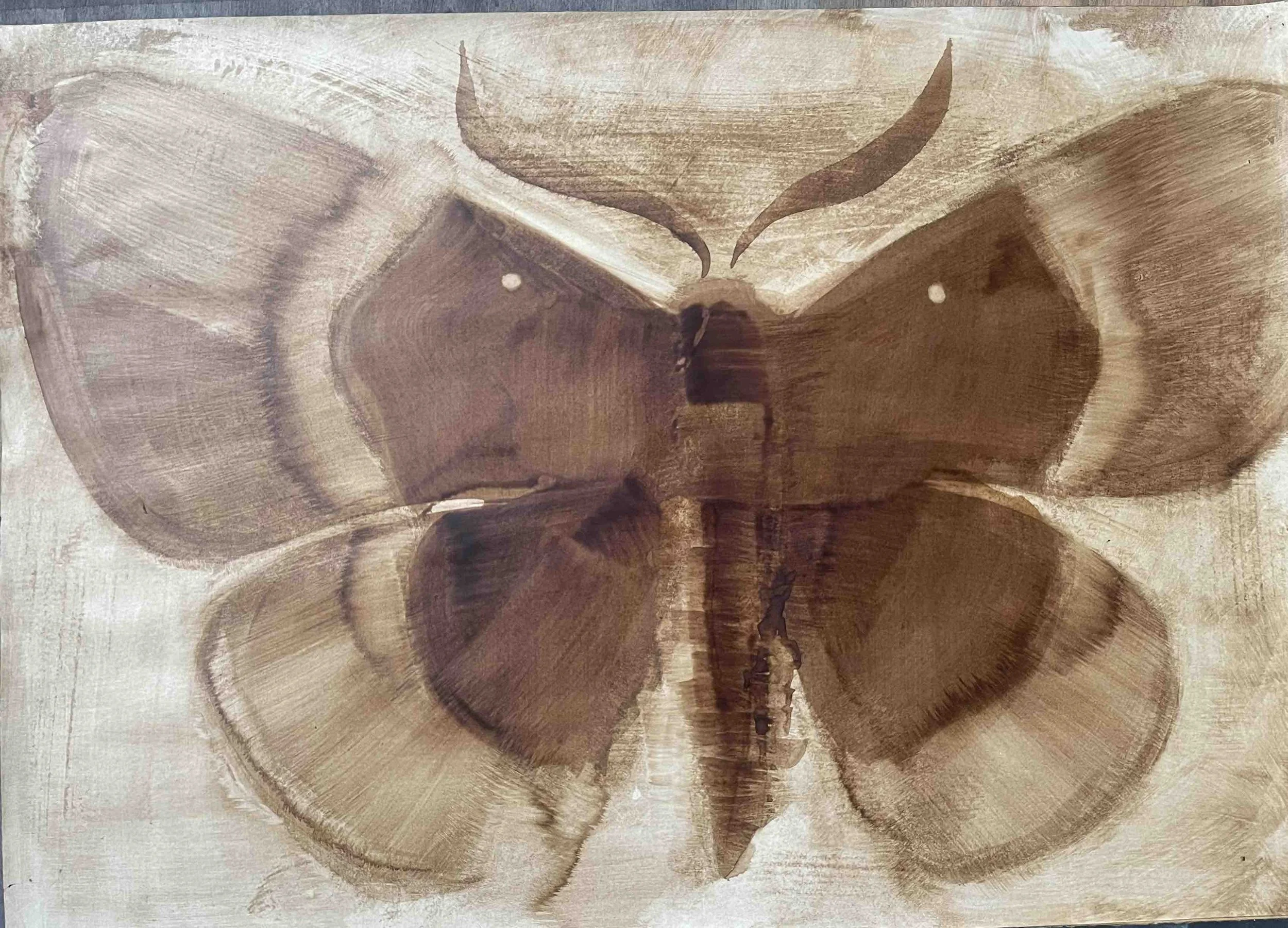 Papillon VIII                -22
Didier Cros 2023
Lavis au brou de noix sur papier 
70x50 cm
Prix de vente             480€
