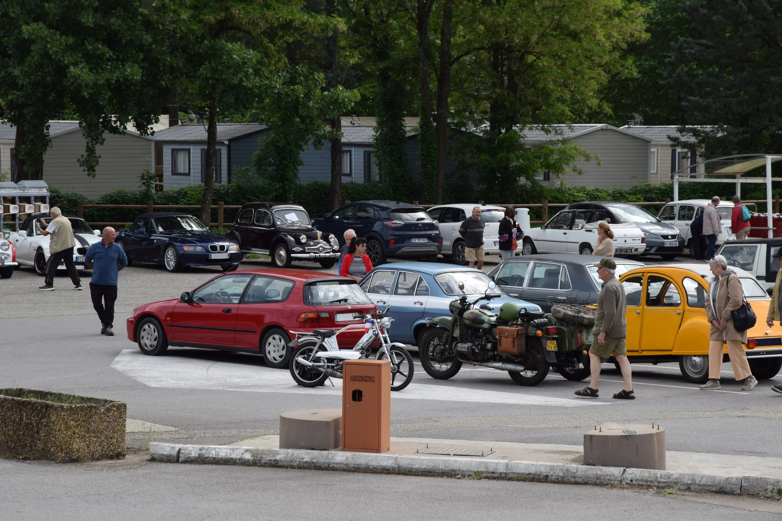 DSC_0398.JPG