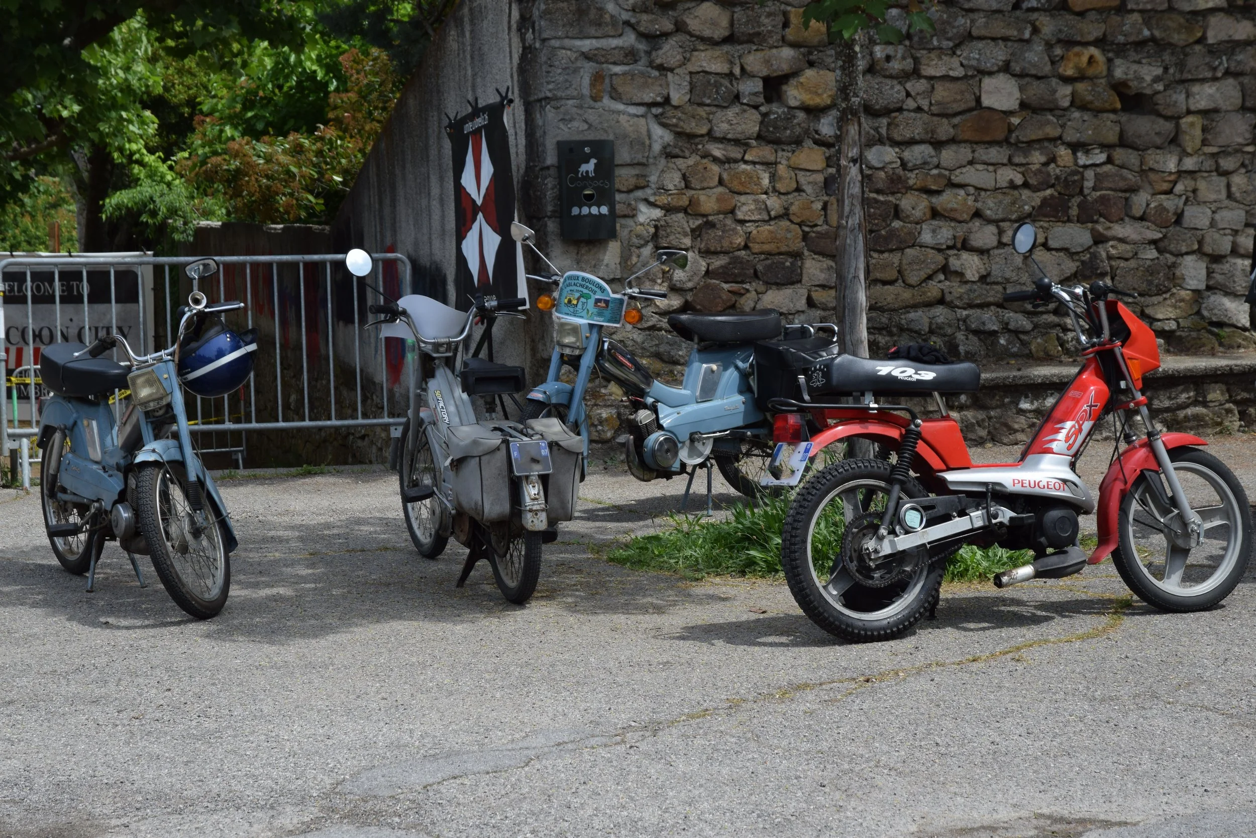 DSC_0413.JPG