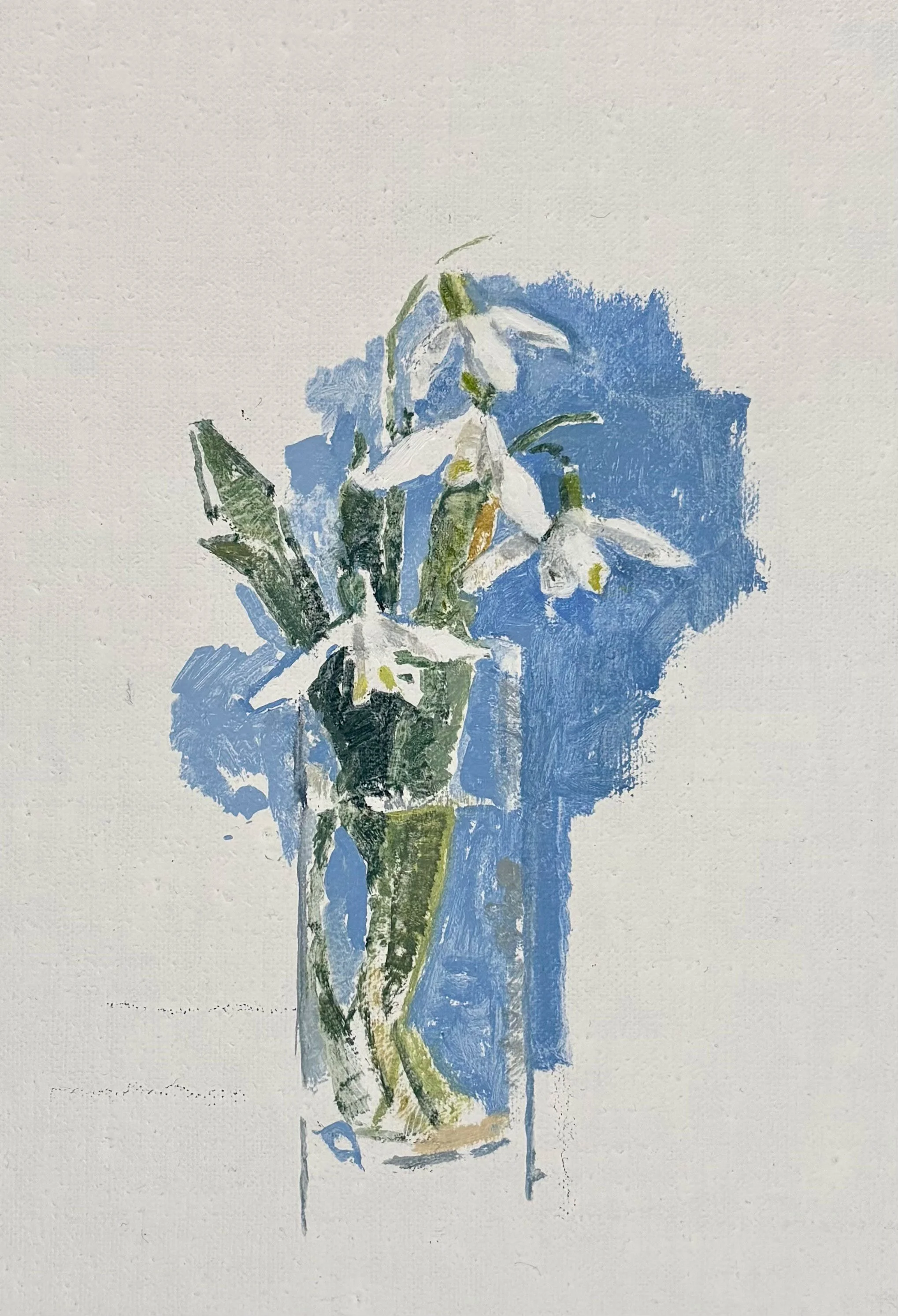 Snowdrop Study