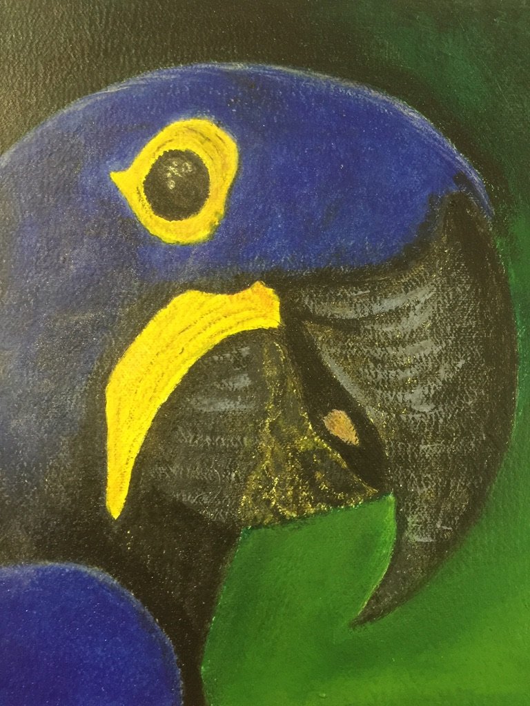Zeichnung eines blauen Papageis mit gelbem Auge.