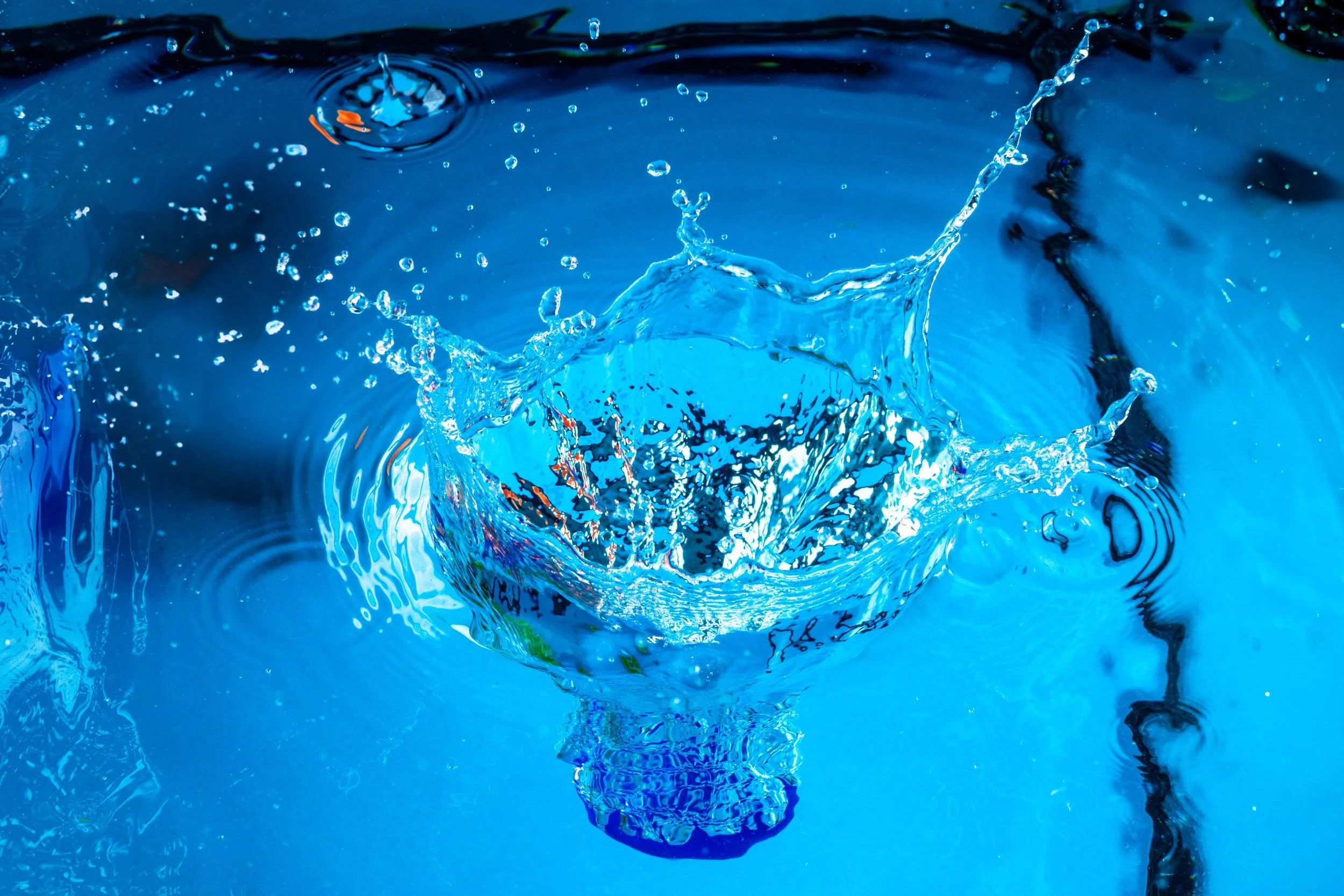 SP_JRS-Website images-6.jpg