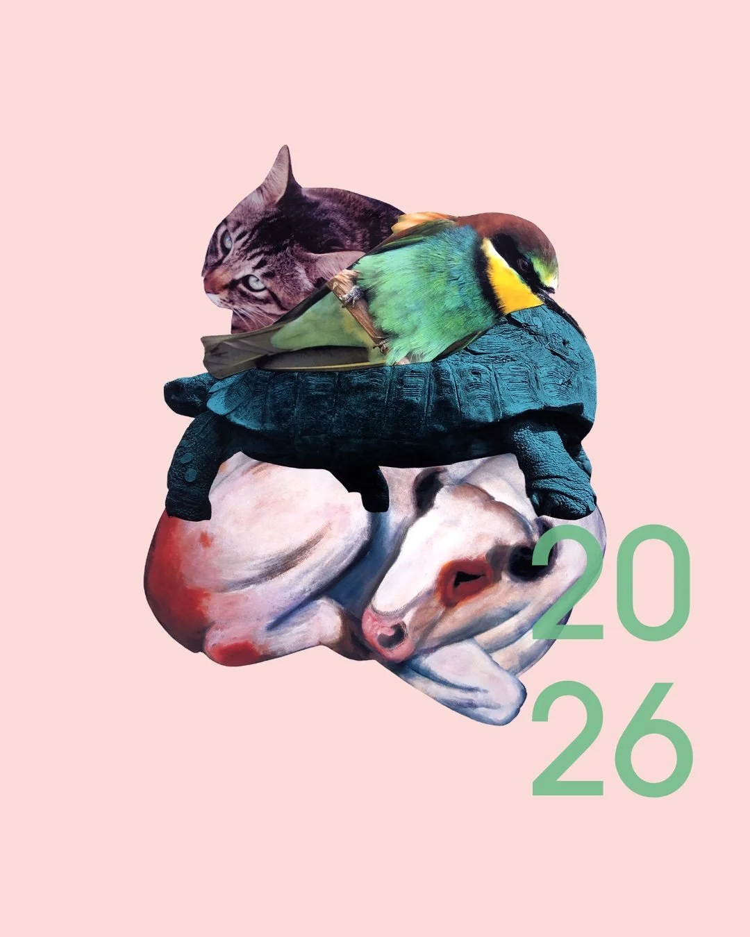 Bilderschnitte/Bilderschritte 2026