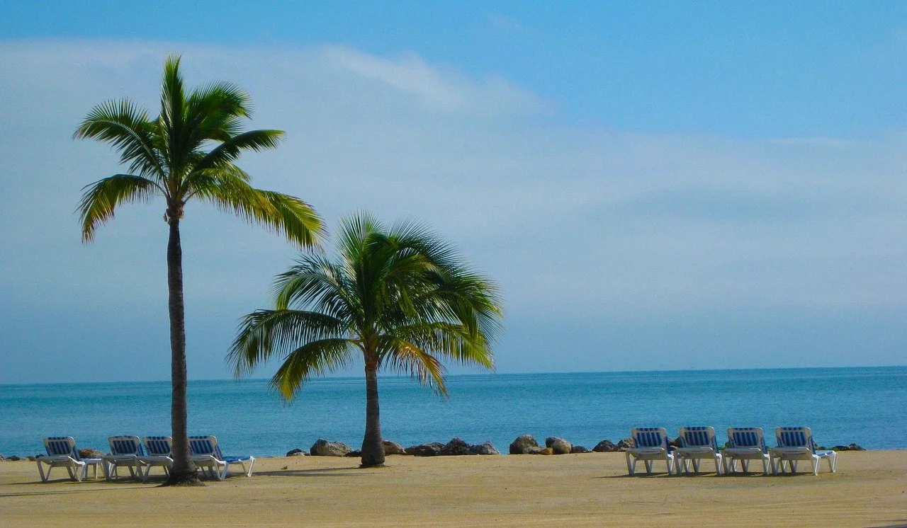 Picnic tables and palm trees on a sandy beach facing the ocean with rocks near the shore, under a partly cloudy sky.