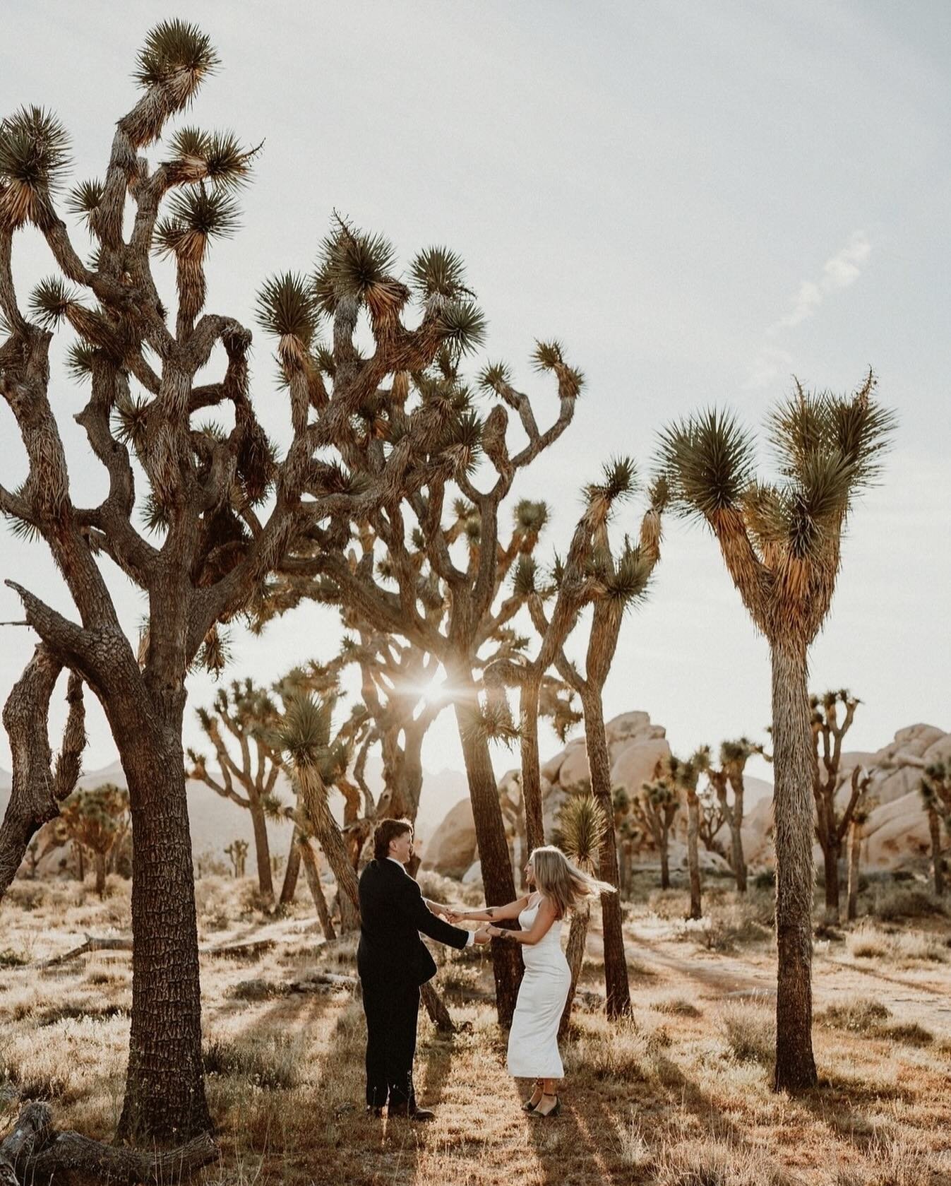 Danielle + Wilson
&bull;⁠ The Creative Team &bull;⁠
Adventurous Couple: @danielleroams + @sirwilsonmoore
Danielle&rsquo;s Attire: Online Boutique
Wilson&rsquo;s Attire: @tarocash
Venue: JTNP
Photographer: @jennandpawel
⁠Officiant: @whatsmychinworth 
