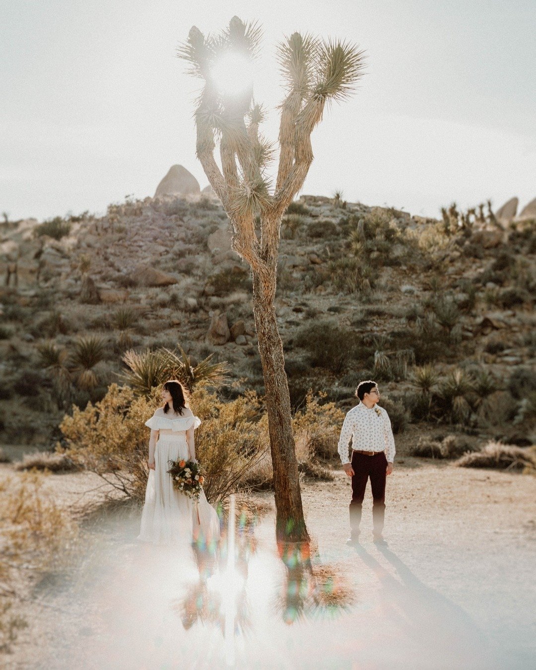 Joshua Tree trying to photobomb these two lovelies. 

#jennandpawelphotography #jennandpawel #makeyourowntraditions #pawel_paparazzo #pawelpaparrazzo #lettheadventurebegin #adventurecouple #joshuatreeelopementphotography #joshuatreeelopement #joshuat