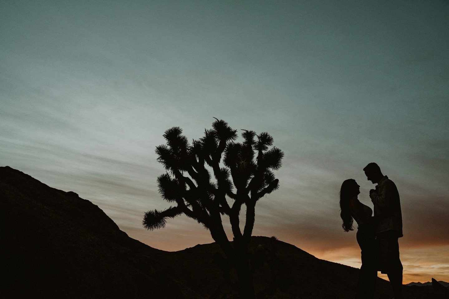 This is why it's fun to photograph into the sunset. 

#jennandpawelphotography #jennandpawel #makeyourowntraditions #pawel_paparazzo #pawelpaparrazzo #lettheadventurebegin #adventurecouple #joshuatreeelopementphotography #joshuatreeelopement #joshuat