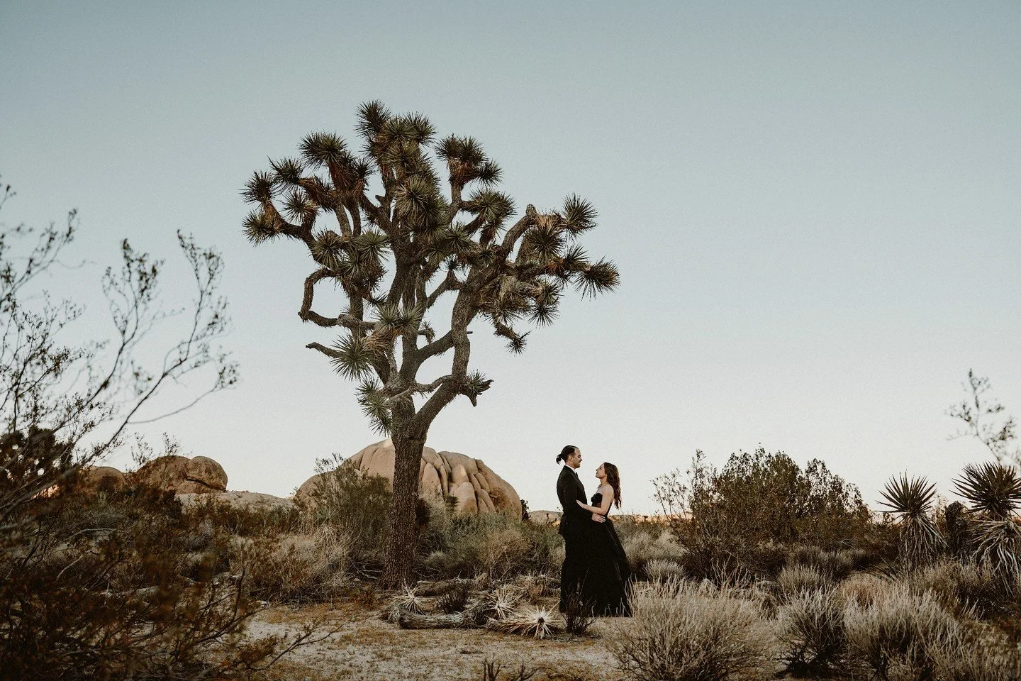 Aleesha and Ben eloped in the beautiful Joshua Tree desert on Halloween. It was a pretty awesome day.

&bull; The Creative Team &bull;⁠
Awesome Couple: @aleeshakozy + @longwachholzonthebeach
Aleesha's Attire: Handmade by the BRIDE!
Venue: JTNP
Photog