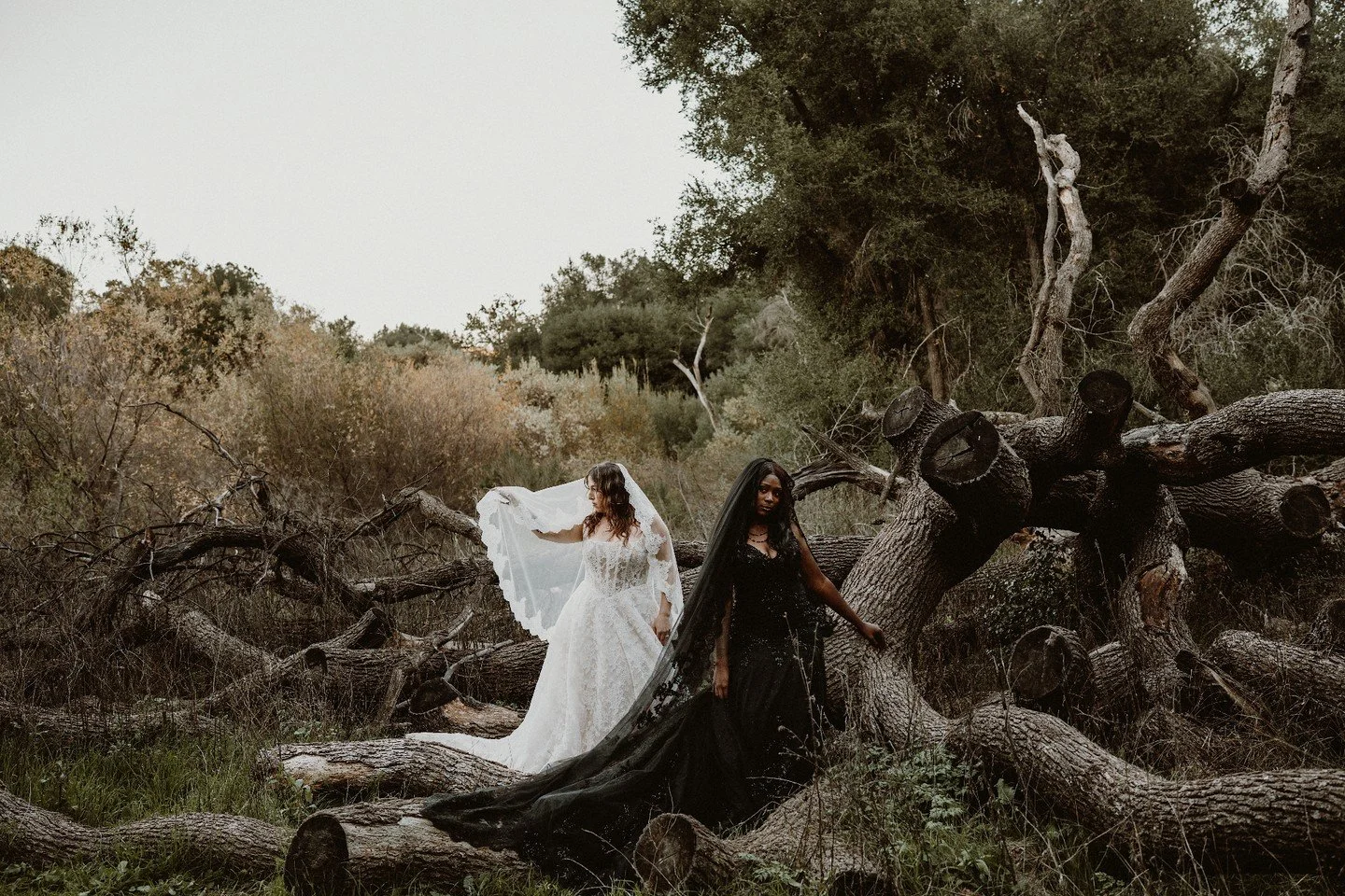 My Insta feed may just turn into photos of Molly and Afrika and I'm okay with that. 
&bull;⁠ The Creative Team &bull;⁠
Beautiful Couple: @mollyalysee + @affy_duck4l
Bridal Store: @lilibridals
Molly's Attire: @justinalexander
Afrika&rsquo;s Attire: Cu