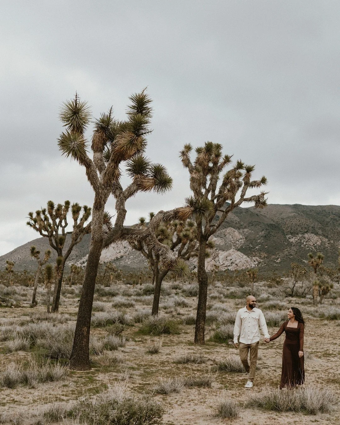 Sal proposed to Maheen among the beautiful Joshua Trees and she said "YES!"

#jennandpawelphotography #joshuatreeelopement #joshuatreeengagement