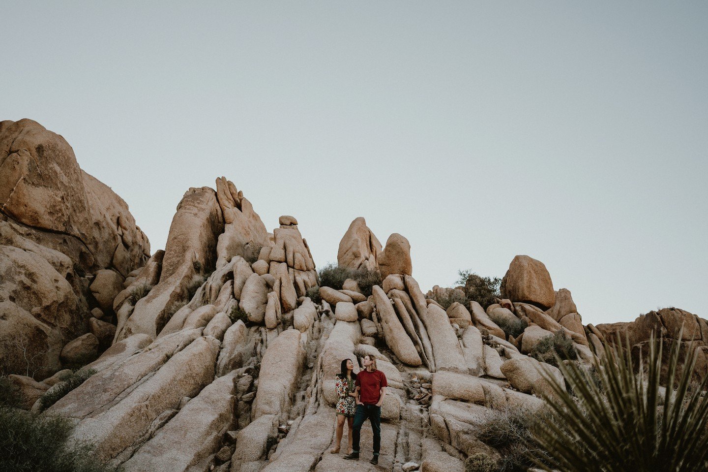 Nick + Maggie

#jennandpawelphotography #joshuatreeengagement #joshuatreewedding