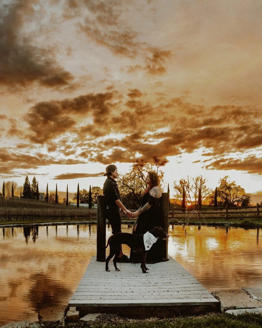 More from Waverly and Natalie's beautiful wedding. (and Bella the Dog)

&bull; The Creative Team &bull;⁠
Amazing Couple: @waverlyjade14 + @natalie_fernandez11
Attire: @jjshouseofficial + Amazon
Venue: @double_mk_ranch
Planner: @dsiegeldesigns
Photogr