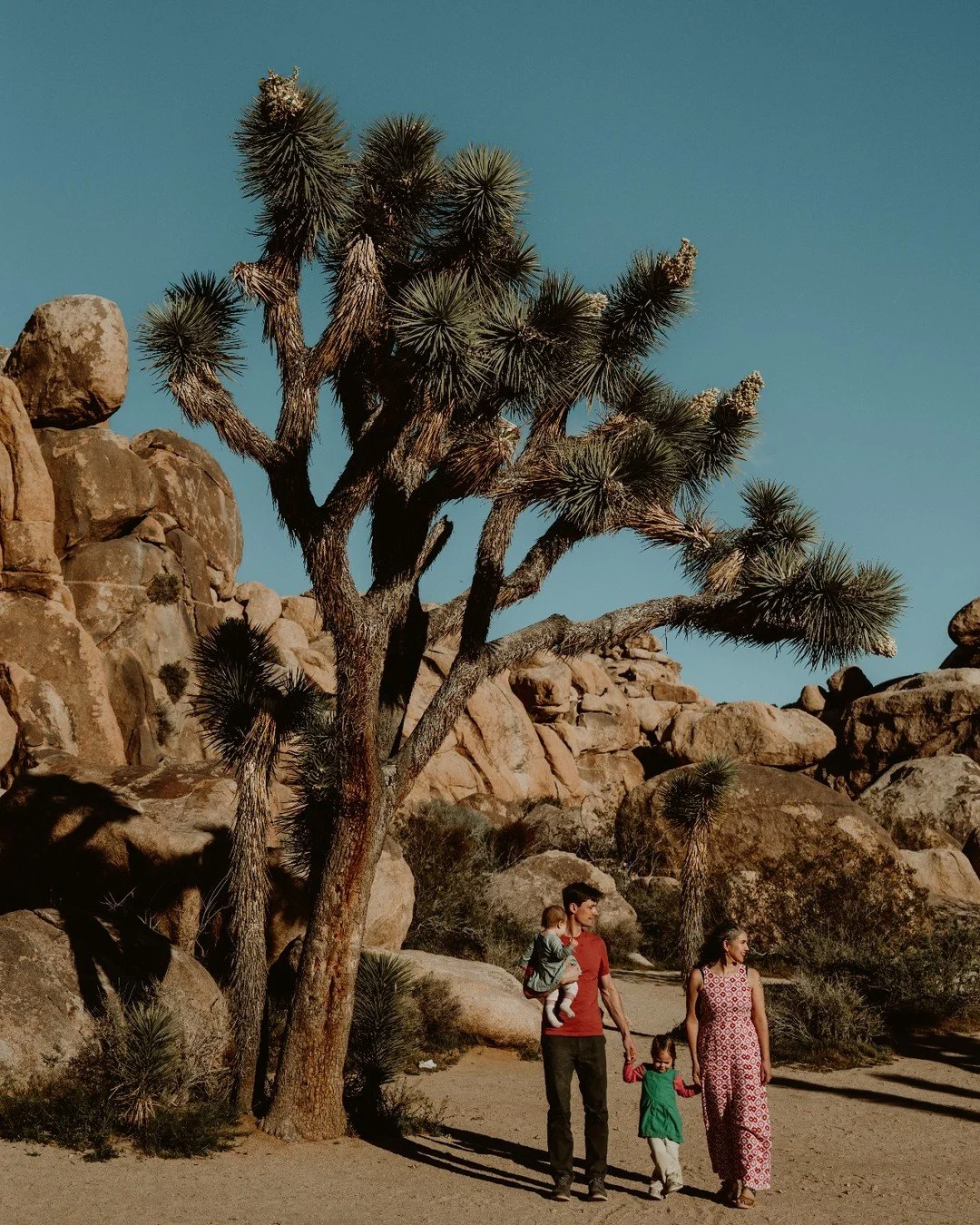 5 years ago we had the pleasure of capturing Alicia and Peter's amazing elopement in Joshua Tree. Recently we got together with them to capture their family photos and meet their adorable girls. 

We love being able to watch all of you grow and captu