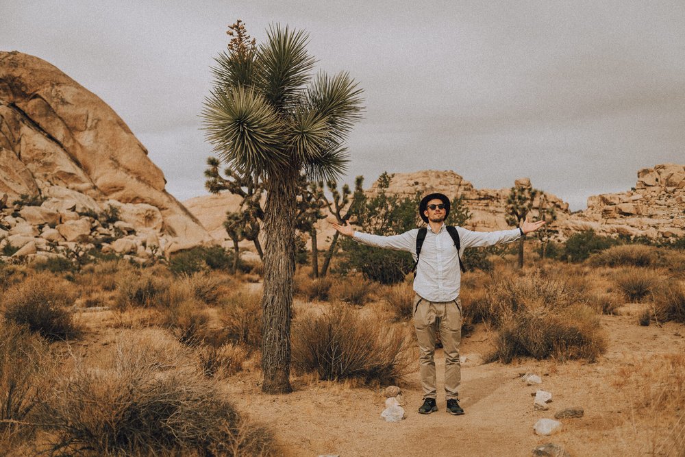 joshua_tree (4 of 12).jpg