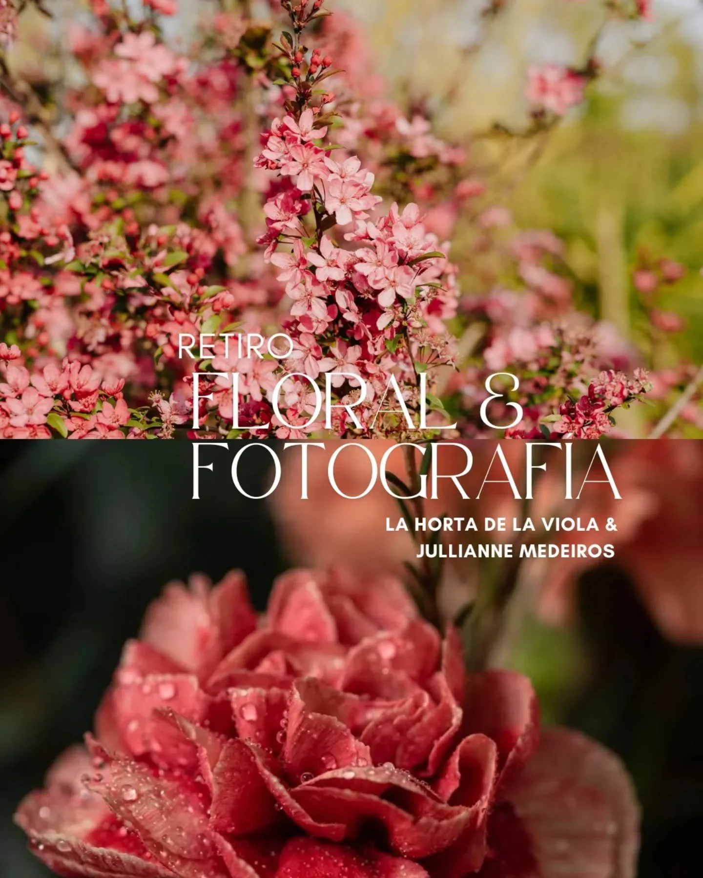 🌸 RETIRO FLORAL &amp; FOTOGRAF&Iacute;A 🌸
18 &amp; 19 de abril 2026 &middot; La Horta de la Viola

Hay flores que no se compran.
Se esperan.
Se cuidan.
Se miran crecer.

Hay im&aacute;genes que no se fuerzan.
Nacen.

Este retiro nace as&iacute;.

D