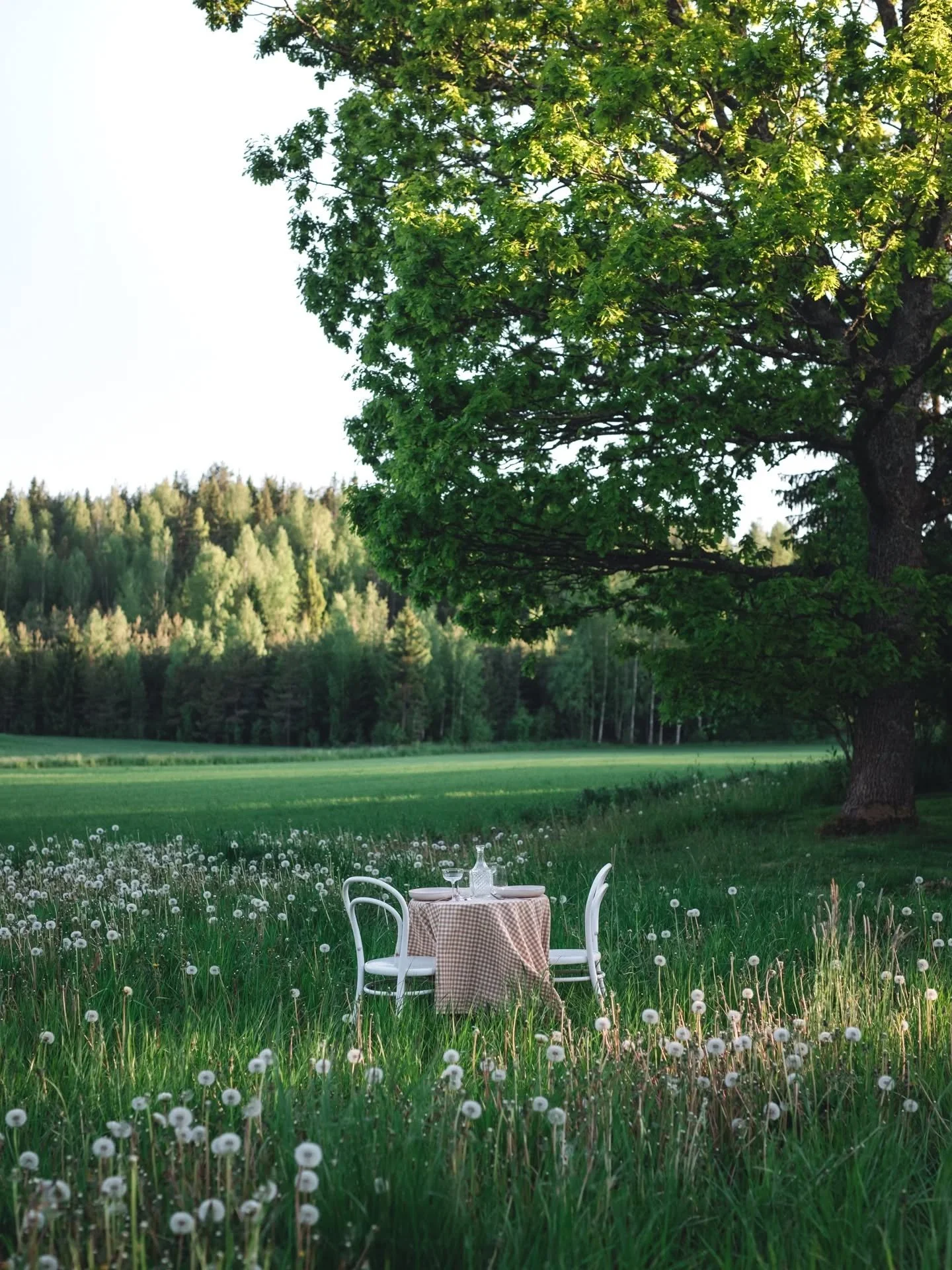 Finland is a place you don&rsquo;t just visit&hellip; you feel it.

Endless nature, soft light, quiet moments, and a way of living that invites you to slow down and truly observe. This retreat was born from the desire to share that, not only as a pla