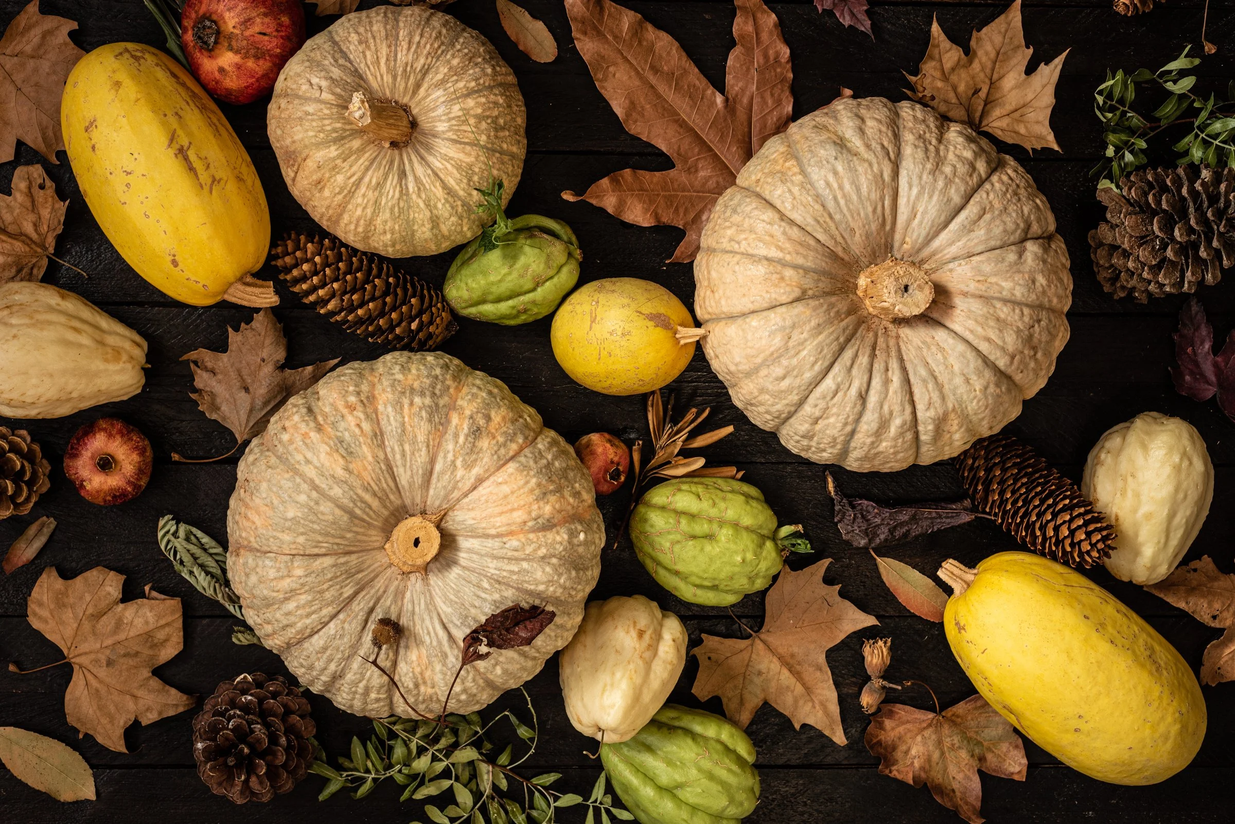 JullianneMedeiros_El Pontet_-76.jpg