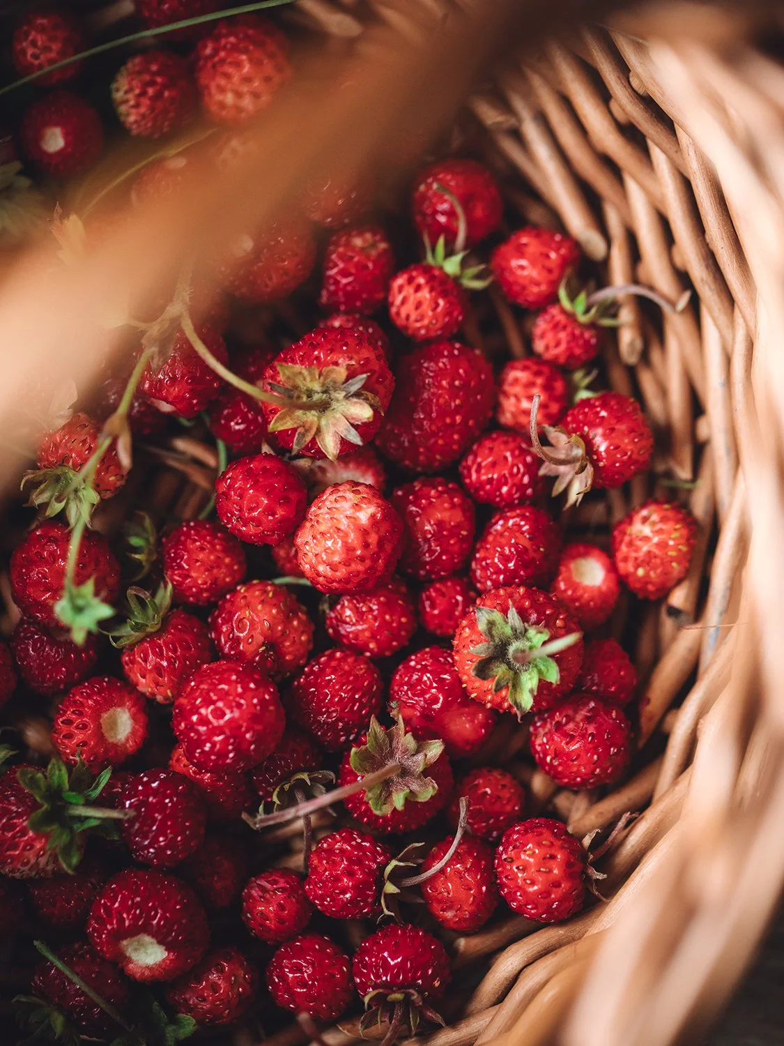 Wild forest straweberries_Ottilia Orenius.jpg