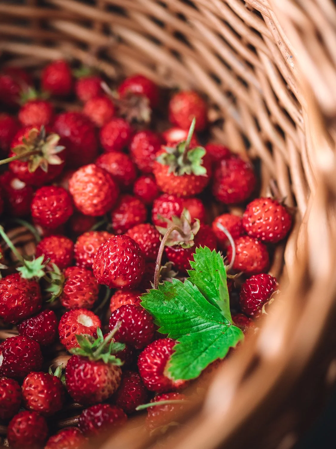 Wild forest straweberries_Ottilia Orenius 2.jpg