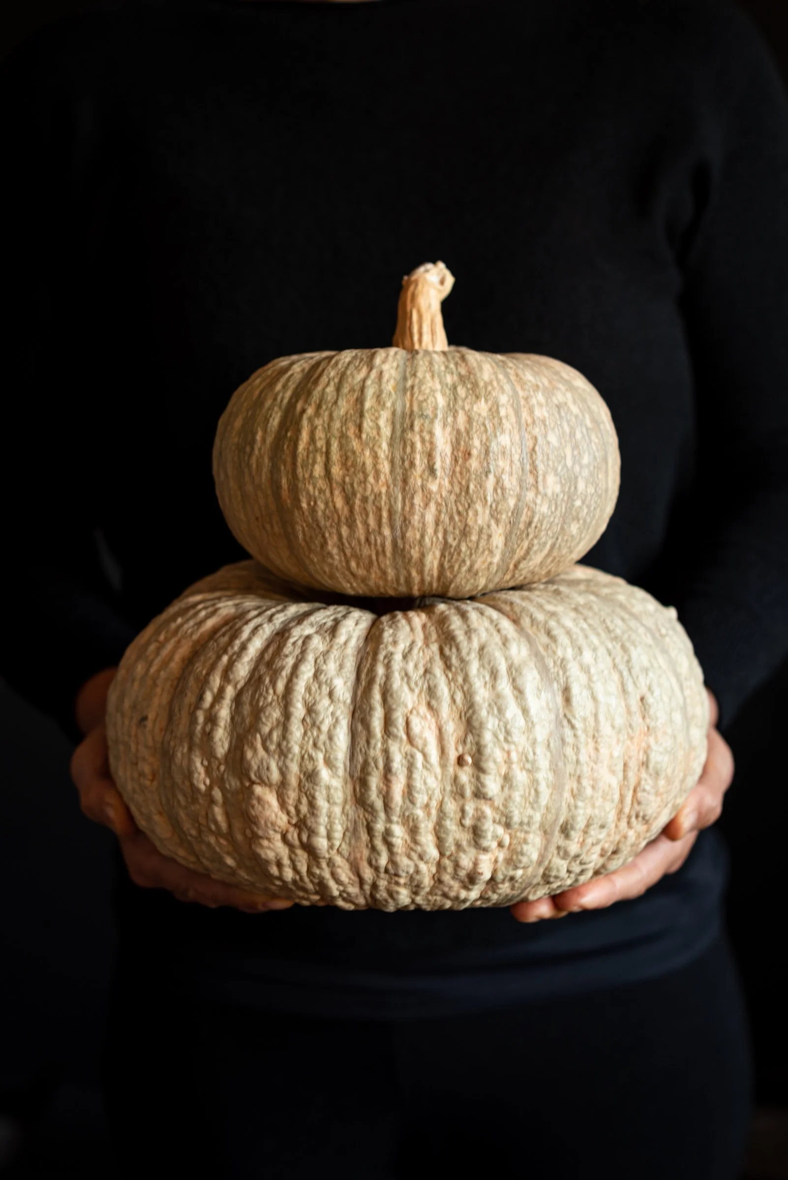 JullianneMedeiros_El Pontet_-93.jpg