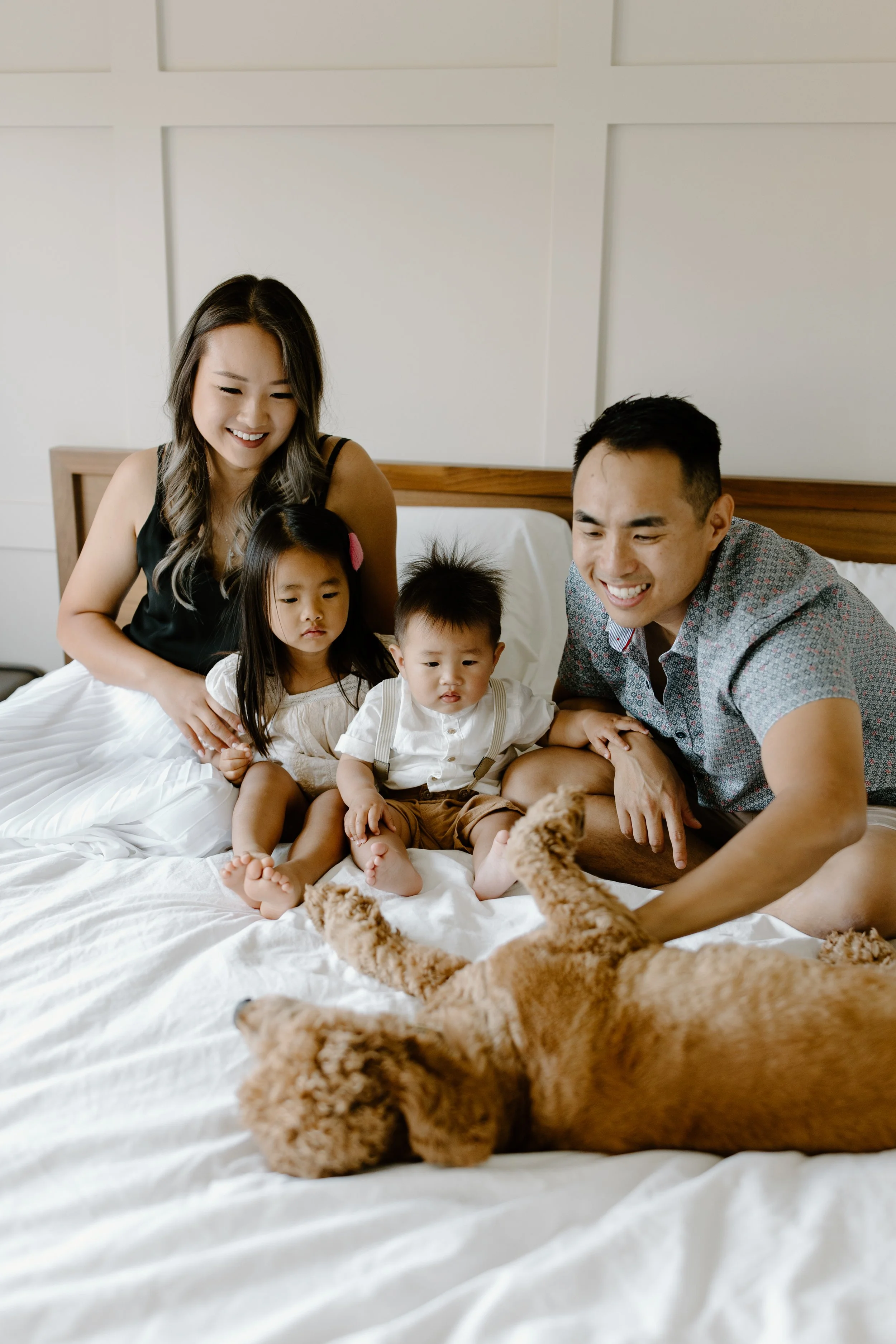 A happy family of four, including two young children, is playing with a golden retriever puppy on a bed in a bright room.