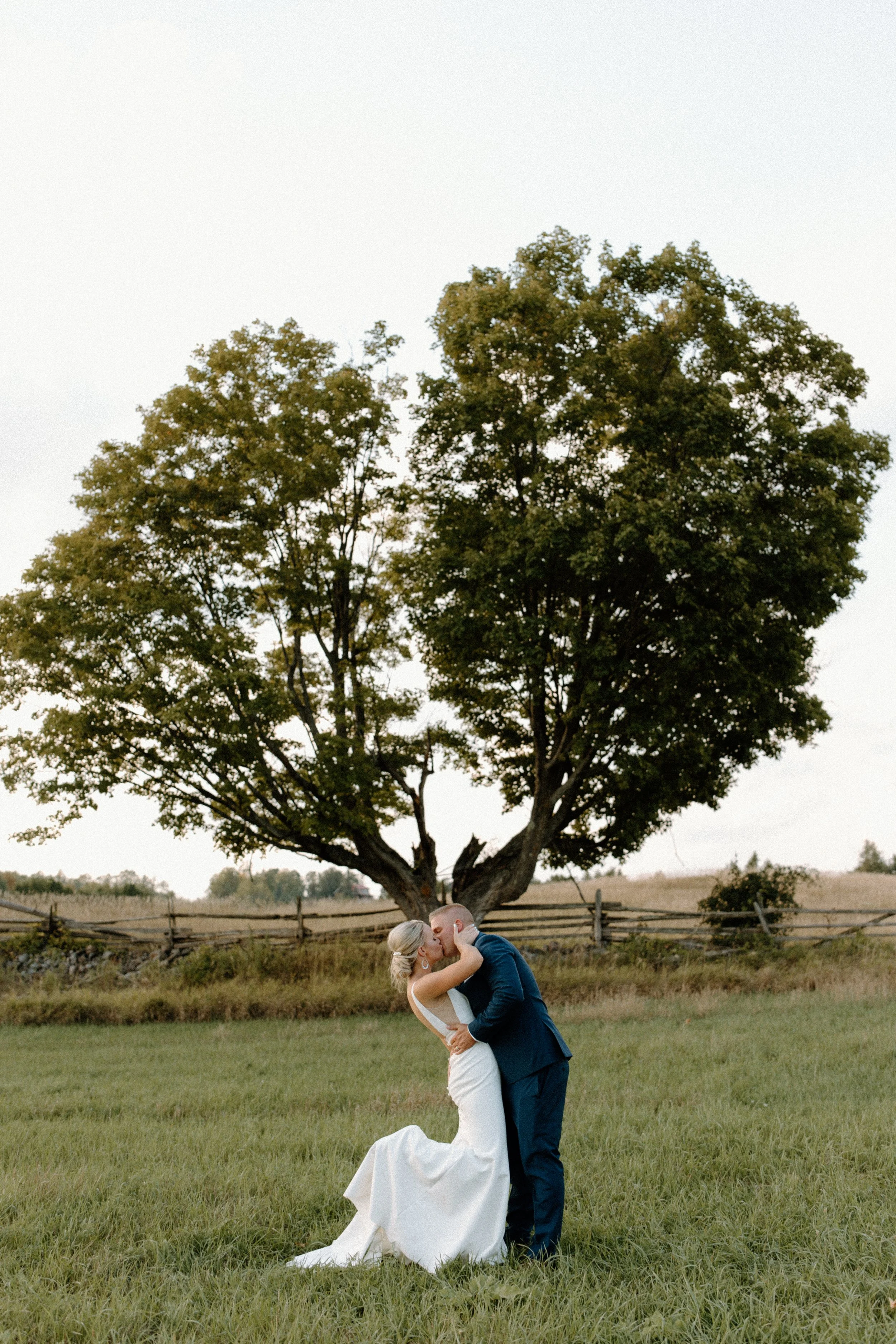 A bride and groom kiss in a grassy field with a large tree in the background.